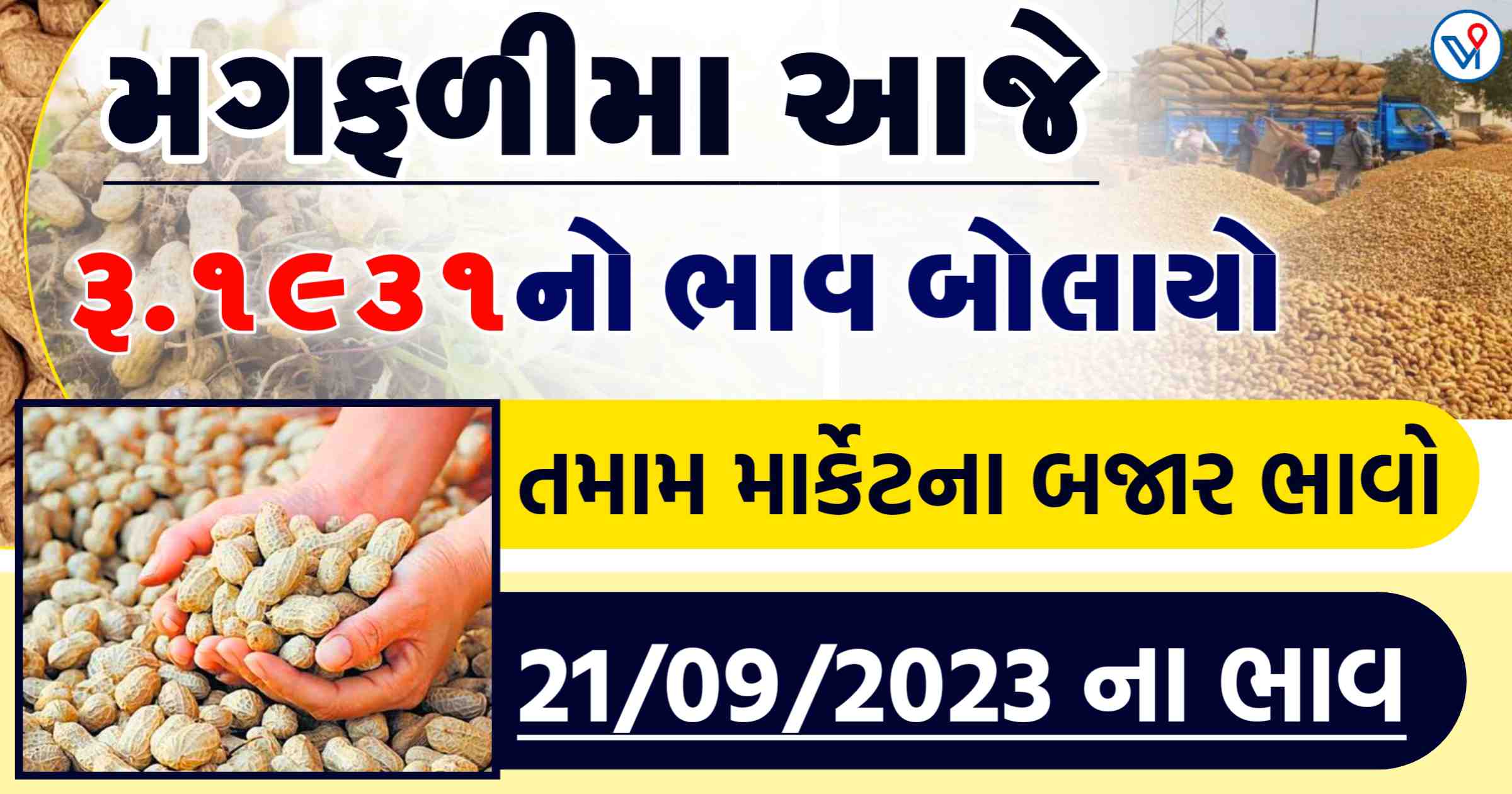 મગફળીમાં રેકોર્ડ બ્રેક ભાવ, વેચતા પહેલા ભાવ જાણી લો, જાણો આજના તમામ બજારોના ભાવ