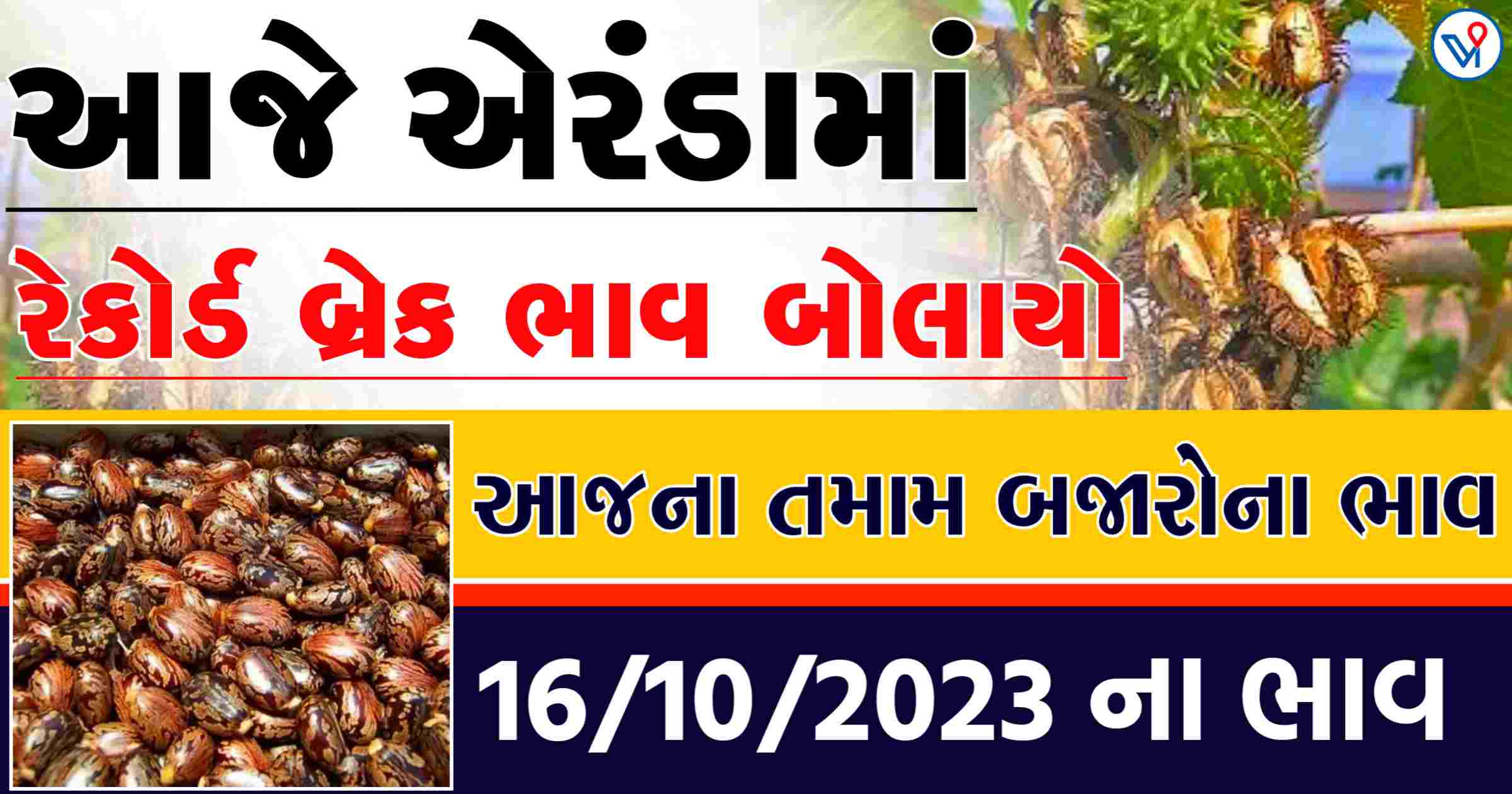 એરંડામાં રેકોર્ડ બ્રેક ભાવ, જાણો આજના એરંડાના તમામ માર્કેટના બજાર ભાવ
