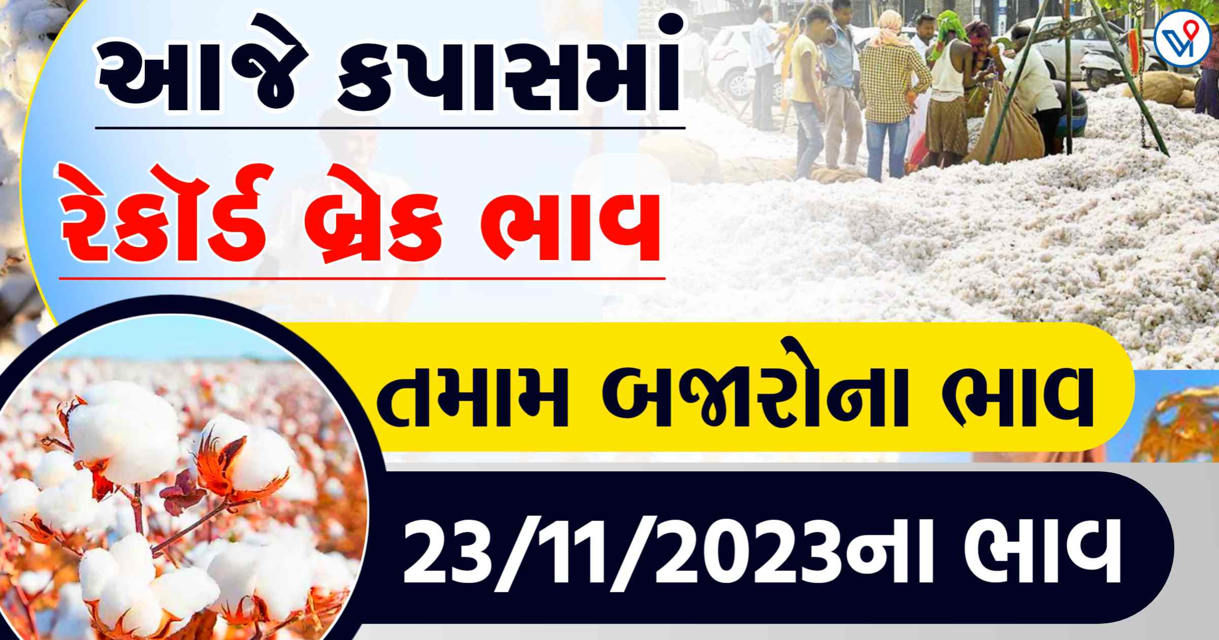 કપાસમાં ભુકકા બોલાવતી તેજી,  જાણો આજના કપાસના તમામ બજારોના ભાવ