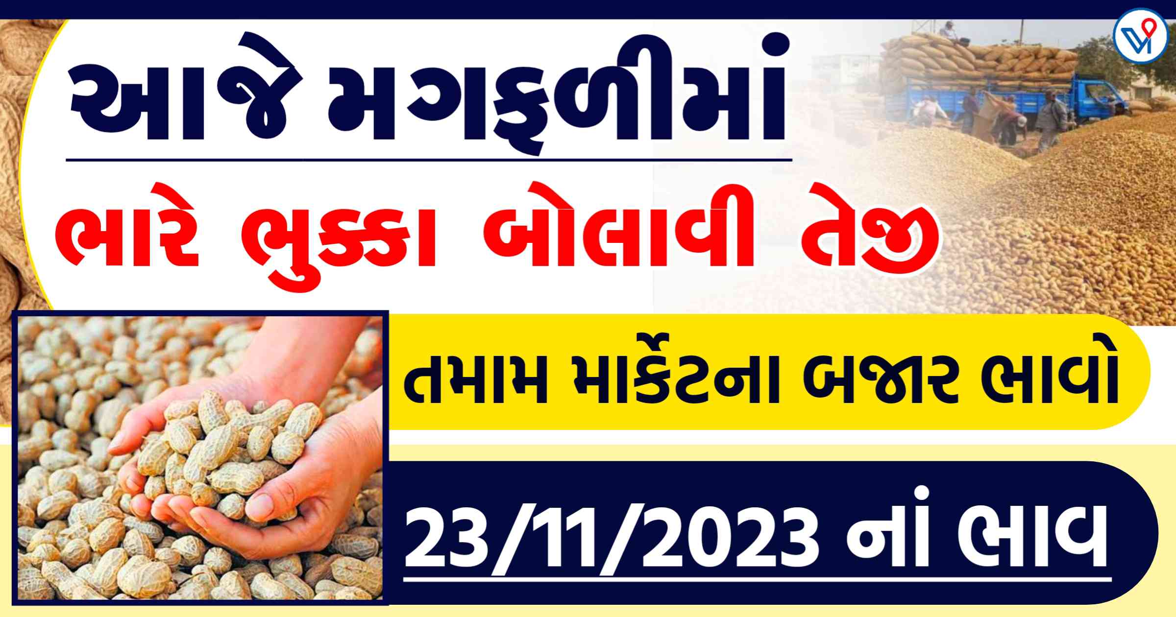 આજે મગફળીમાં ભુકકા બોલાવતી તેજી, વેચતા પહેલા ભાવ જાણી લો, જાણો આજના તમામ બજારોના ભાવ