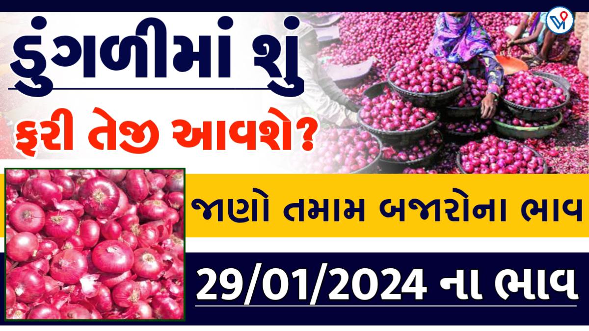 આજે ડુંગળીમાં રેકોર્ડ બ્રેક ભાવ, વહેચતા પેહેલા જાણો આજના ડુંગળીના બજાર ભાવ