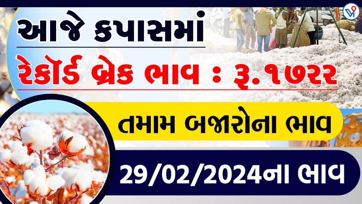 આજે કપાસમાં રેકોર્ડ બ્રેક ભાવ, ઉચો ભાવ ૧૭૦૦ રૂપીયા, જાણો આજના કપાસના તમામ બજારોના ભાવ