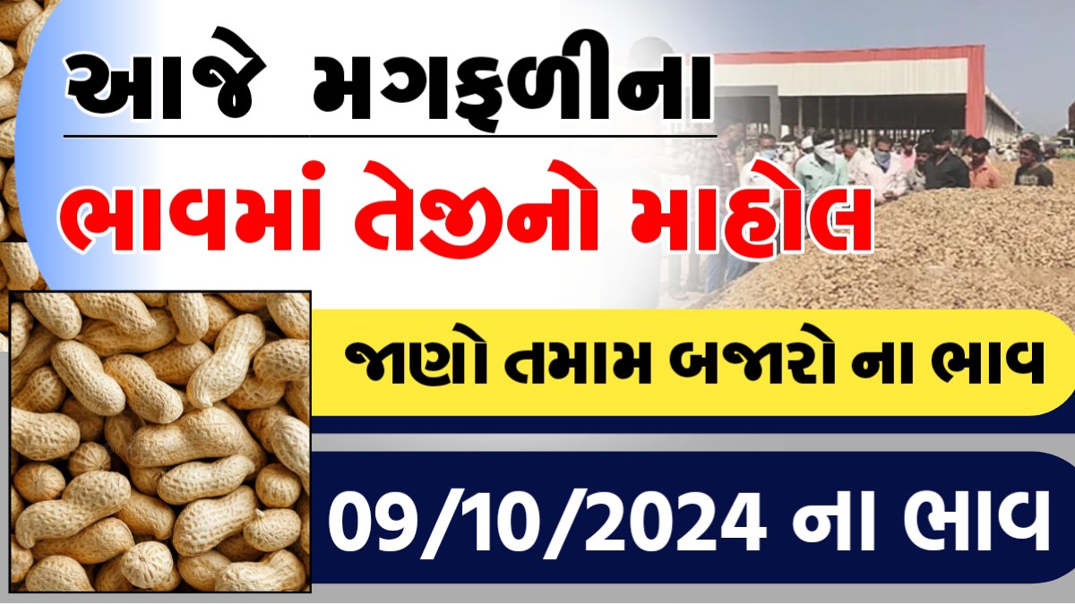 આજના મગફળિના ભાવ મા તેજીનો માહોલ, જાણો આજના બજાર ભાવ