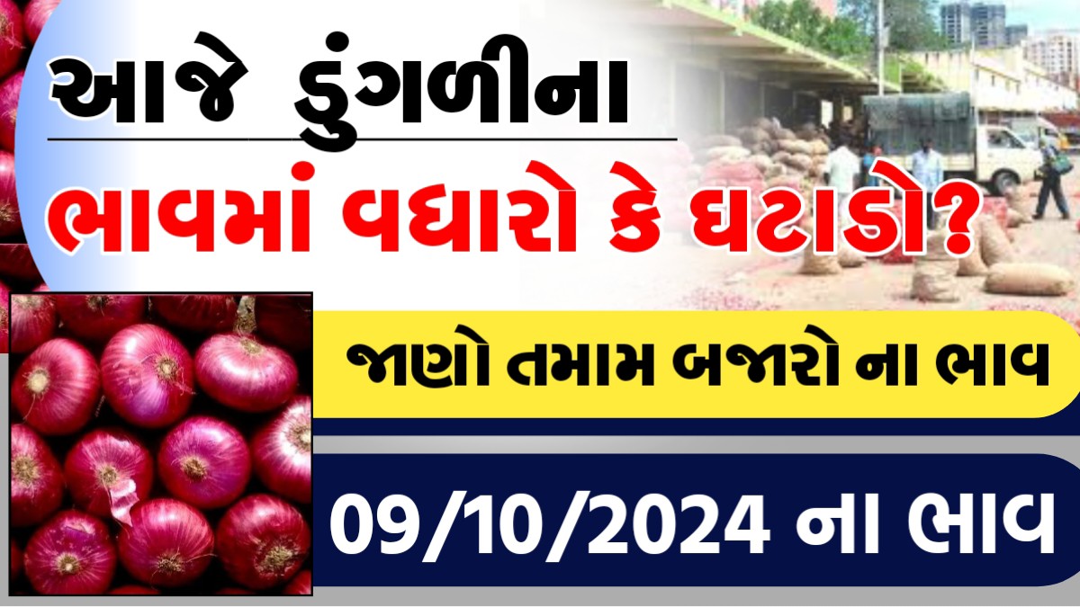 આજે ડુંગળીના ભાવમા વધારો કે ઘટાડો? ,  જાણો આજના બજાર ભાવ