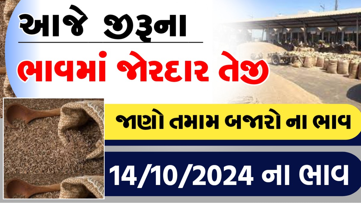 આજે જીરુના ભાવમા જોરદાર તેજી, જાણો આજના બજાર ભાવ