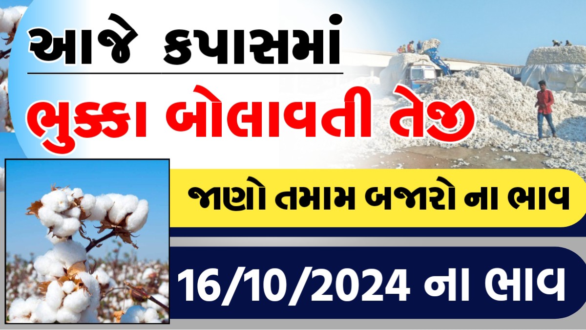 આજે કપાસના ભાવમા ભુક્કા બોલવતી તેજી, જાણો આજના તમામ બજારોના ભાવ