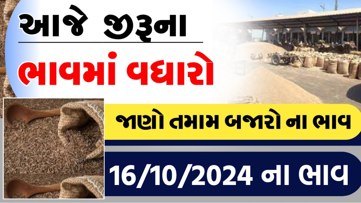 આજે જીરુના ભાવમા વધારો, જાણો આજના તમામ બજારોના ભાવ
