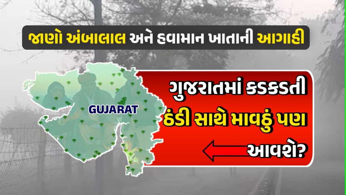 ગુજરાતમાં કડકડતી ઠંડી સાથે માવઠું પણ આવશે?, જાણો અંબાલાલ પટેલ અને હવામાન ખાતાની આગાહી