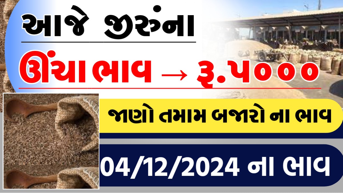 આજે જીરુના ઊચા ભાવ - રુ.૫૦૦૦, જાણો આજના તમામ બજારોના ભાવ