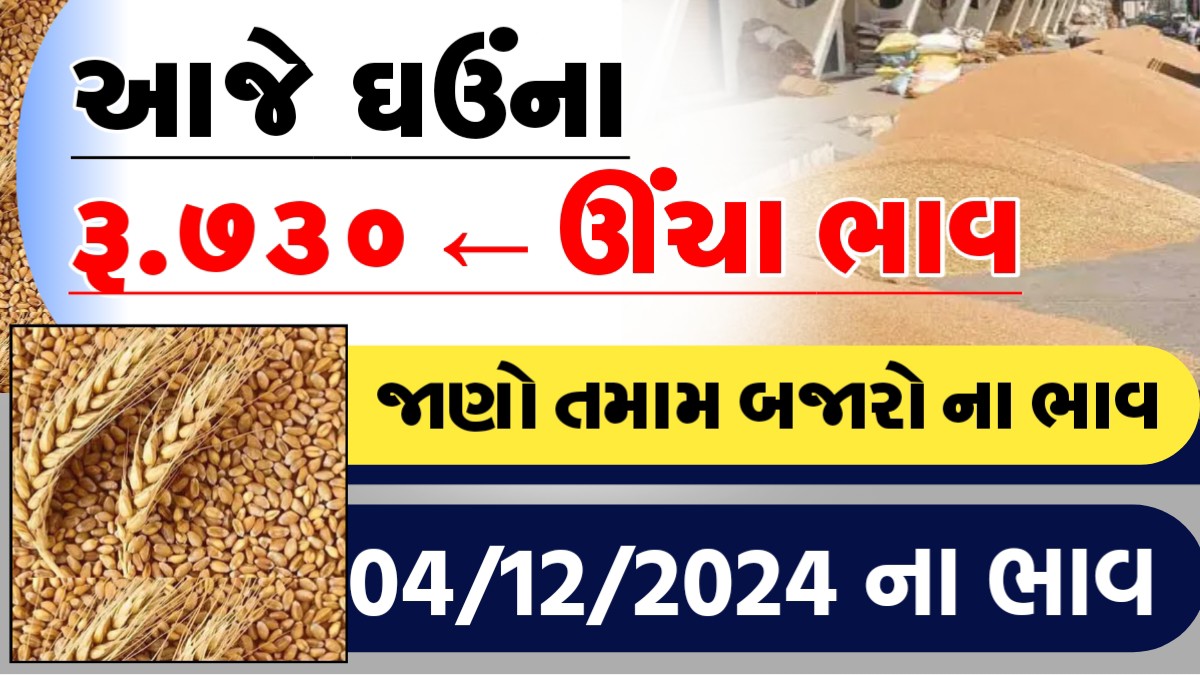 આજે ઘઉના-રુ.૭૩૦ ઊચા ભાવ, જાણો આજના તમામ બજારોના ભાવ