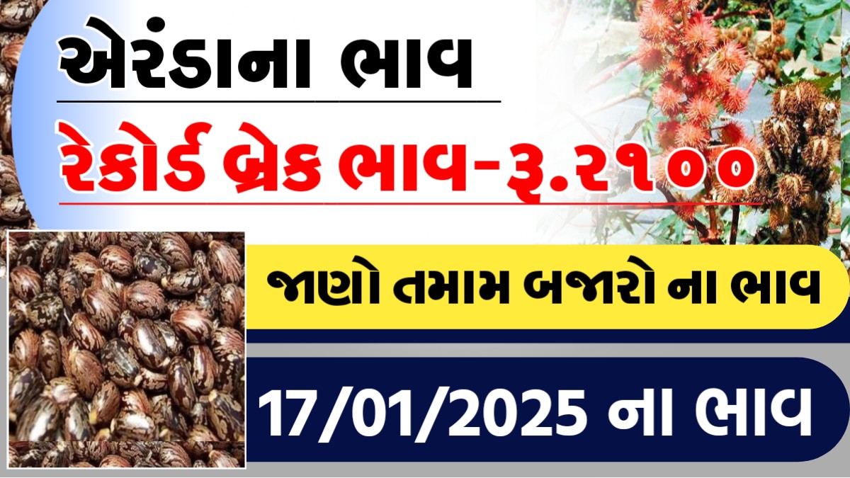 આજે એરંડાના રેકોર્ડ બ્રેક ભાવ રુ. ૨૧૦૦, જાણો આજના તમામ બજારોના ભાવ