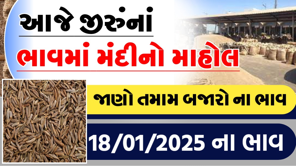 આજે જીરુના ભાવમા મંદીનો માહોલ, જાણો આજના તમામ બજારોના ભાવ