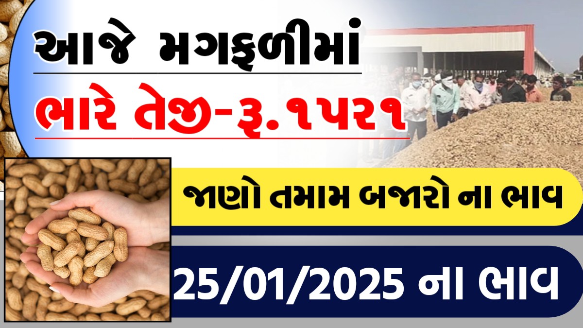 આજે મગફળીમા ભારે તેજી રુ.૧૫૨૧, જાણો આજના તમામ બજારોના ભાવ