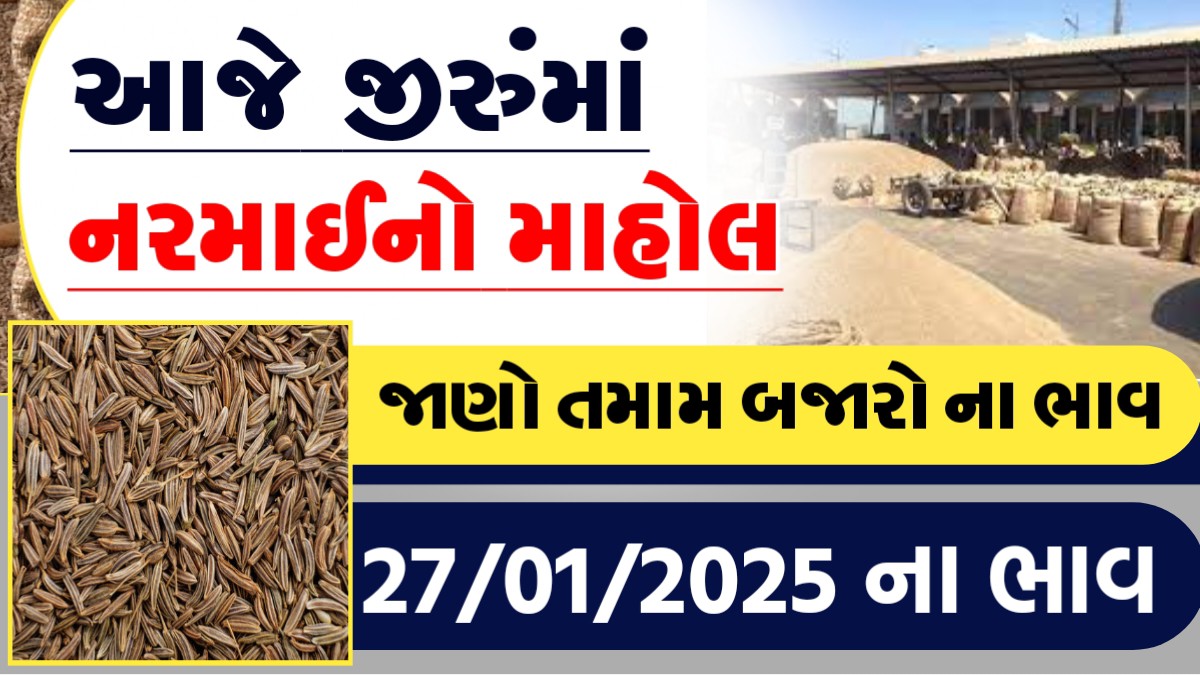 આજે જીરુમા નરમાઇનો માહોલ, જાણો આજના તમામ બજારોના ભાવ