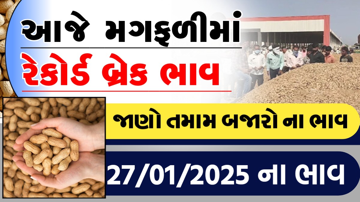 આજે મગફળીમા રેકોર્ડ બ્રેક ભાવ, જાણો આજના તમામ બજારોના ભાવ