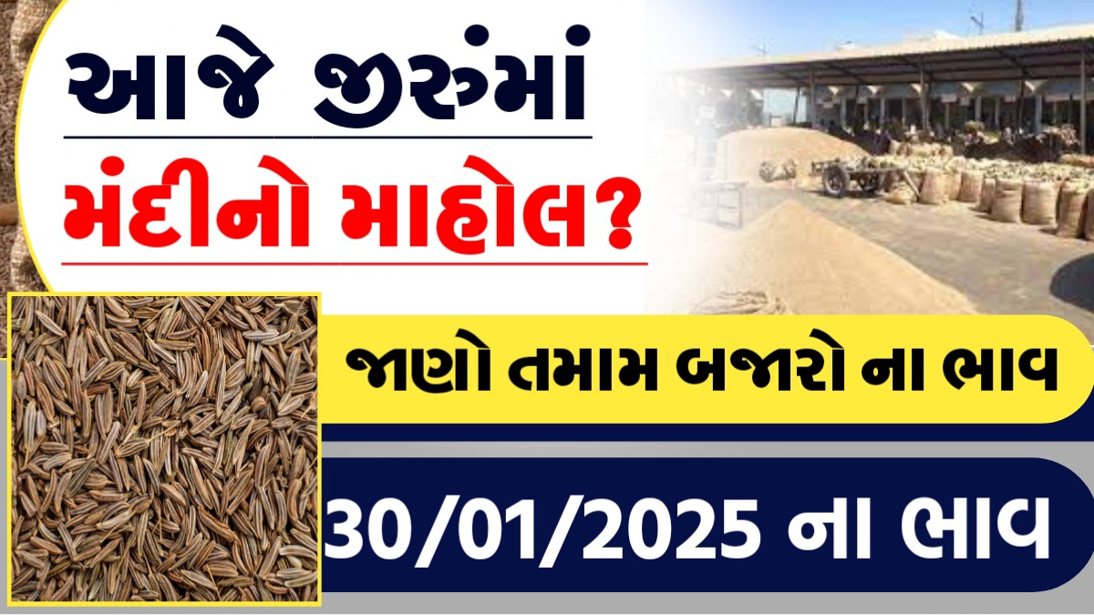 આજે જીરુમા મંદીનો માહોલ?, જાણો આજના તમામ બજારોના ભાવ