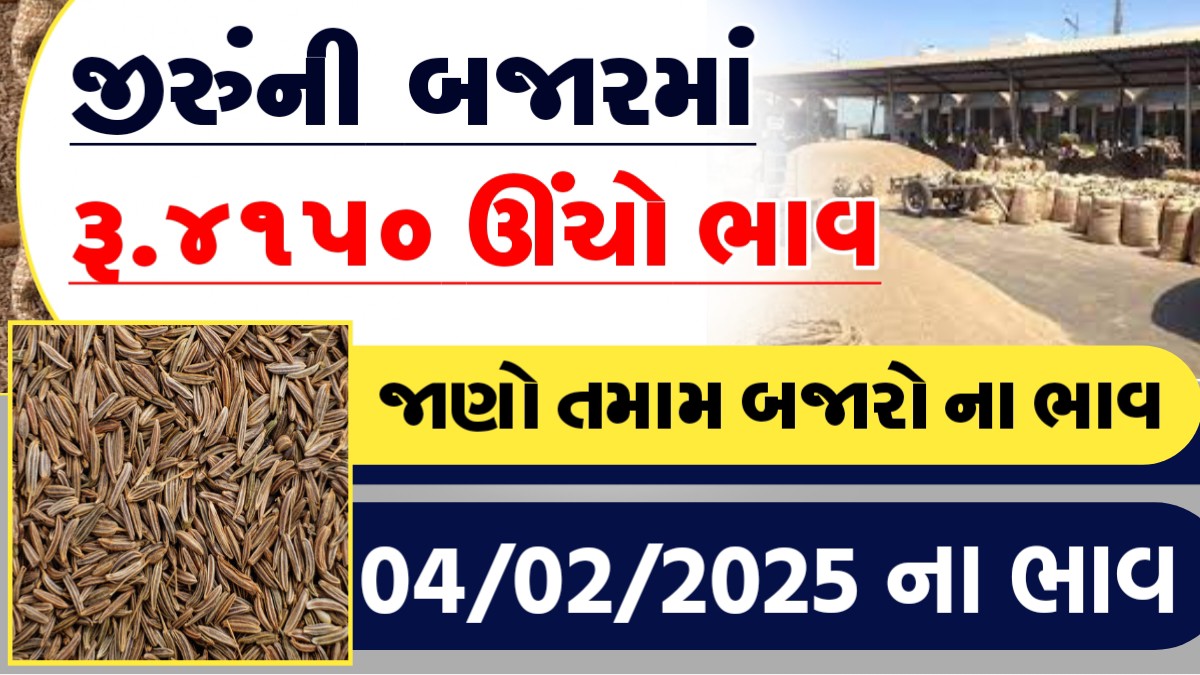 આજે જીરુની બજારમા રુ.૪૧૫૦ ઊચો ભાવ, જાણો આજના તમામ બજારોના ભાવ