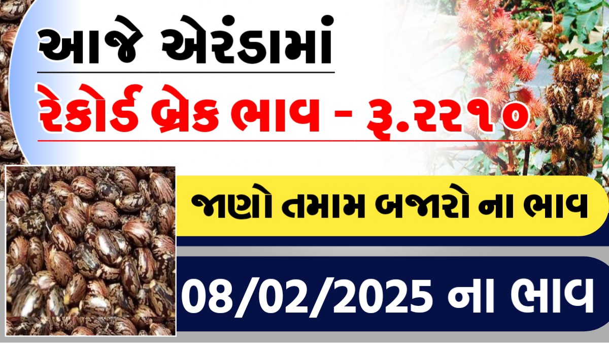 આજે એરંડામા રેકોર્ડ બ્રેક ભાવ રુ.૨૨૧૦, જાણો આજના તમામ બજારોના ભાવ