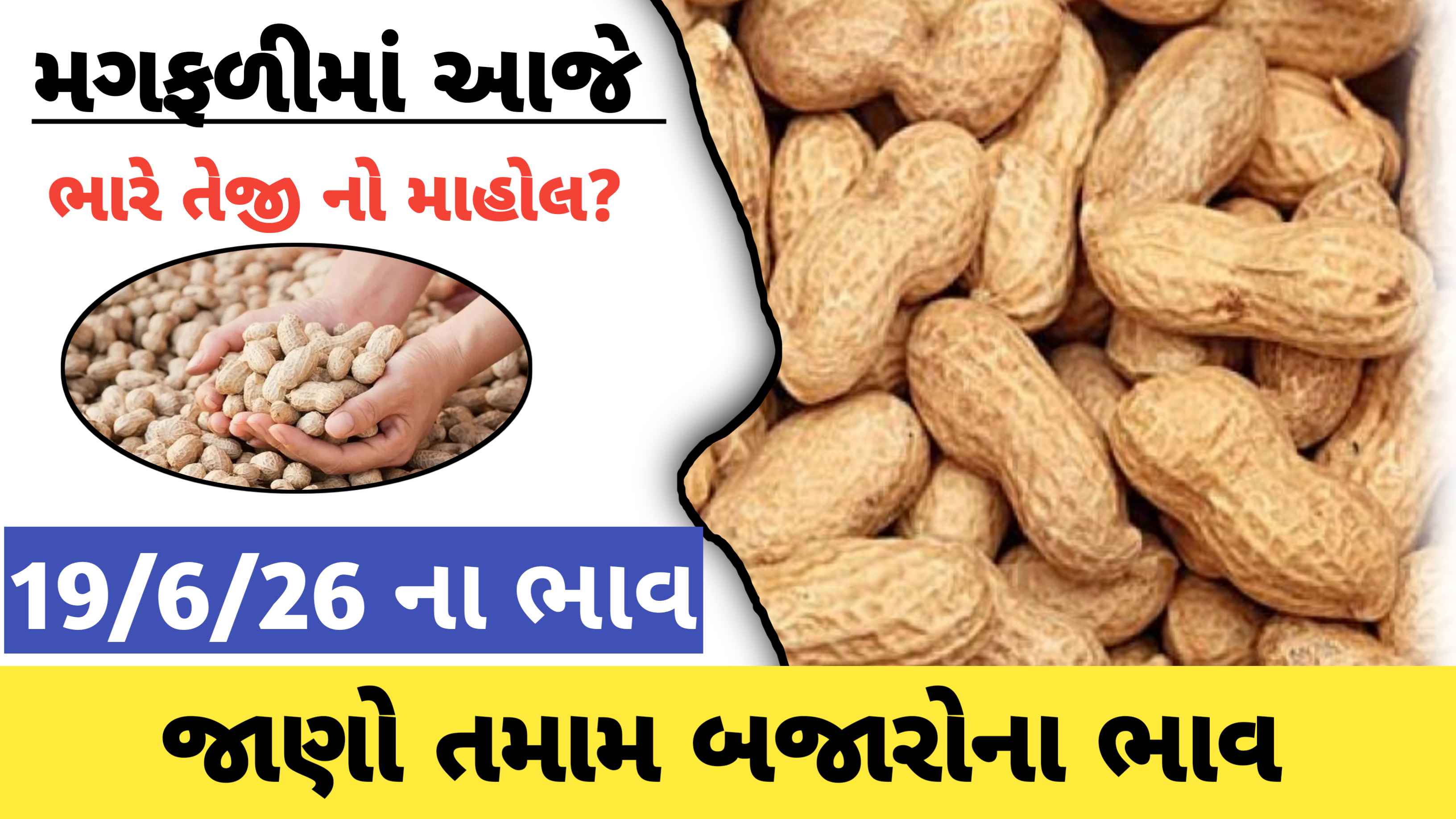 આજે મગફળીમાં ભારે તેજી,જાણો આજના તમામ બજારોના ભાવ