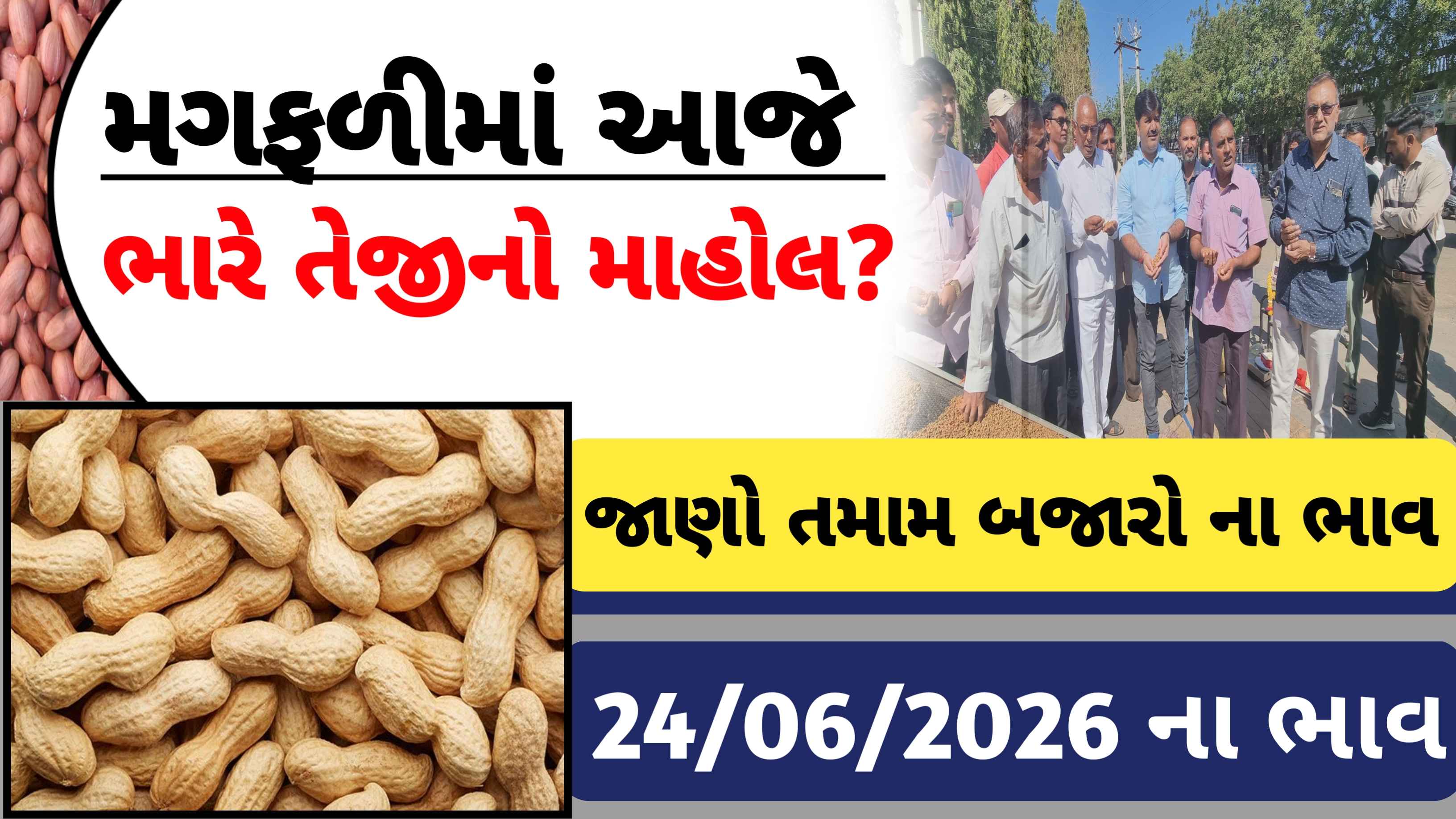 Gujrat Groundnut Price: આજે મગફળીના બજાર ભાવમાં ભારે તેજી