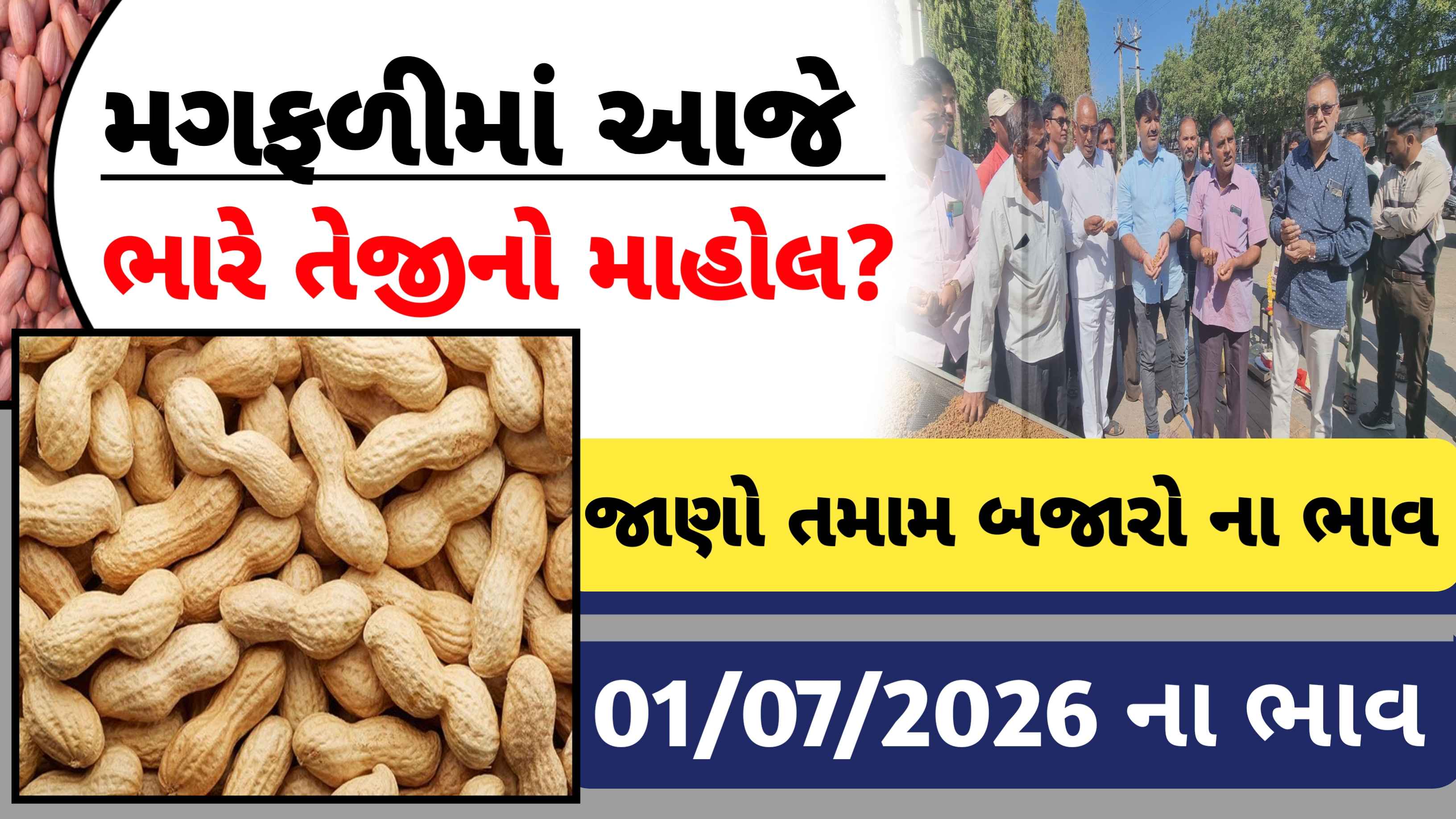 આજે મગફળીમાં ભારે તેજી, જાણો આજના તમામ બજારોના ભાવ