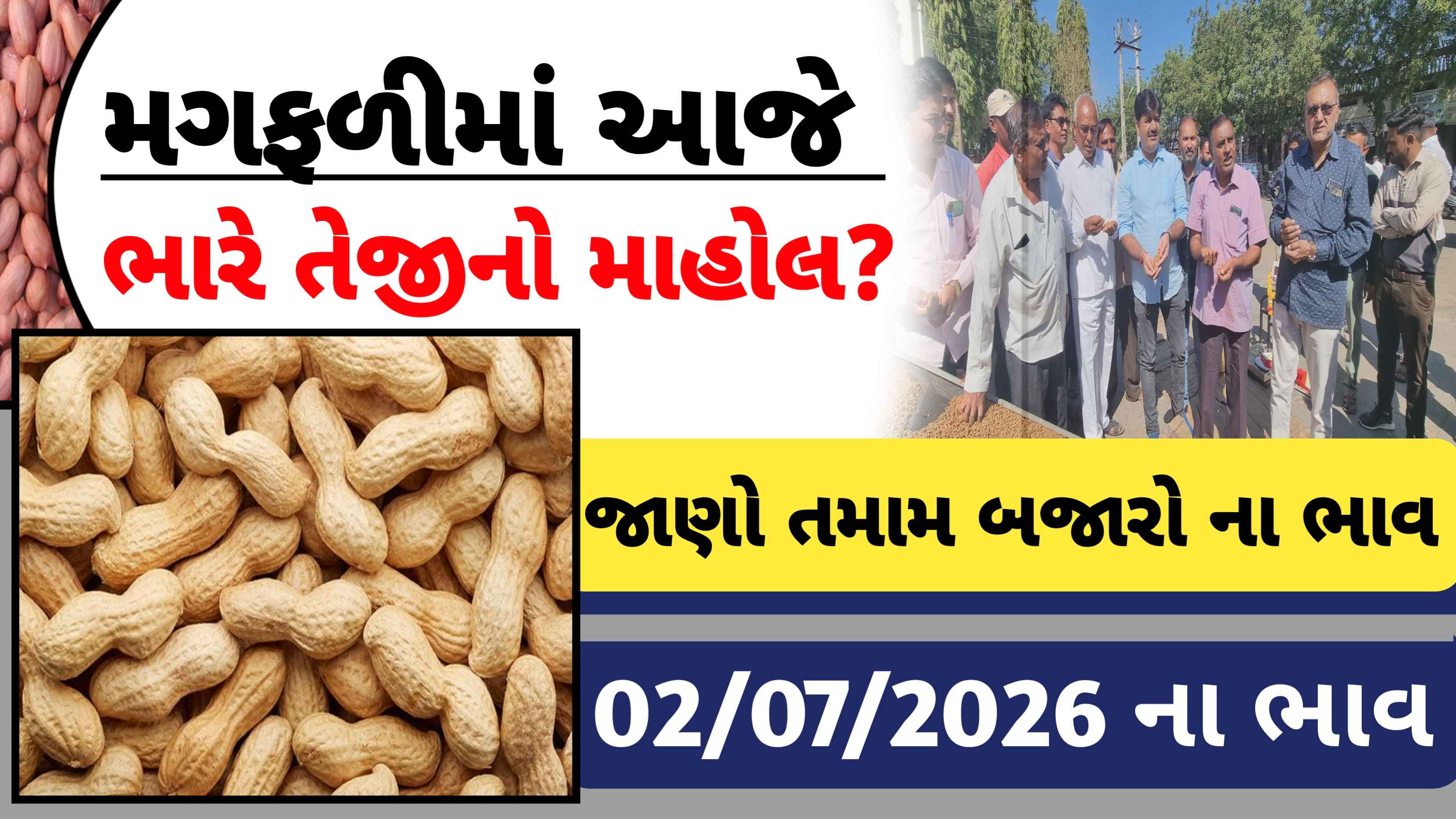 મગફળીના ભાવમાં સતત તેજી, જાણો આજના તમામ બજારોના ભાવ