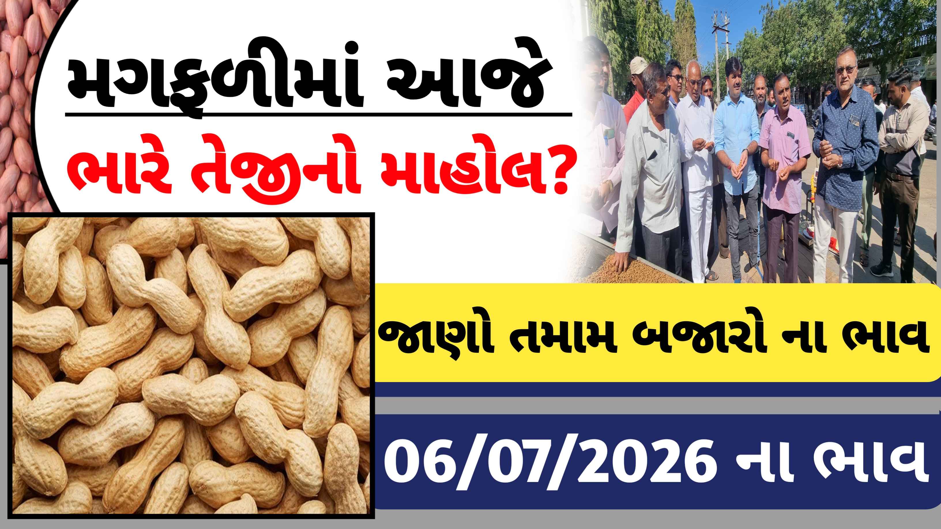 આજના મગફળીના ભાવ: ગુજરાતના કયા માર્કેટ યાર્ડમાં મળ્યા સૌથી ઊંચા ભાવ?