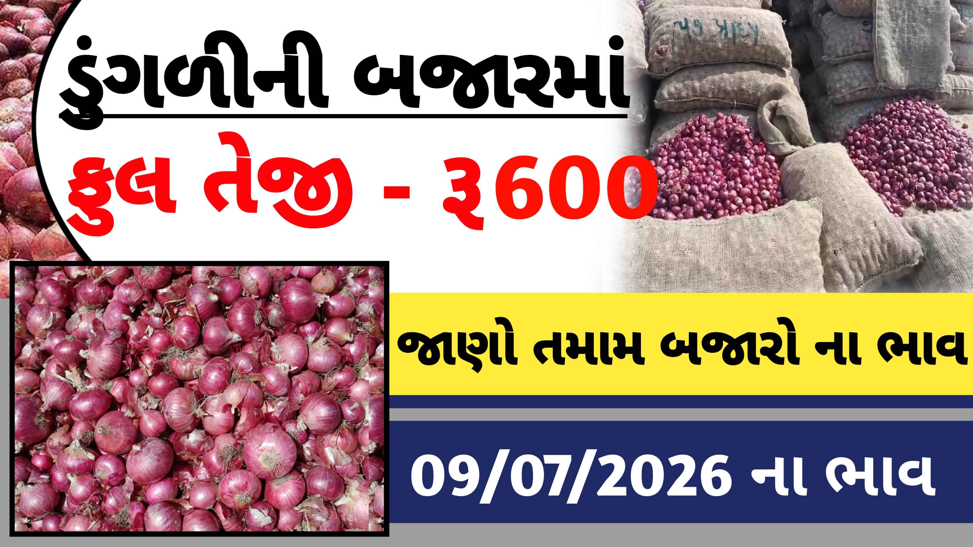 આજના ડુંગળીના લેટેસ્ટ ભાવ જાણો
