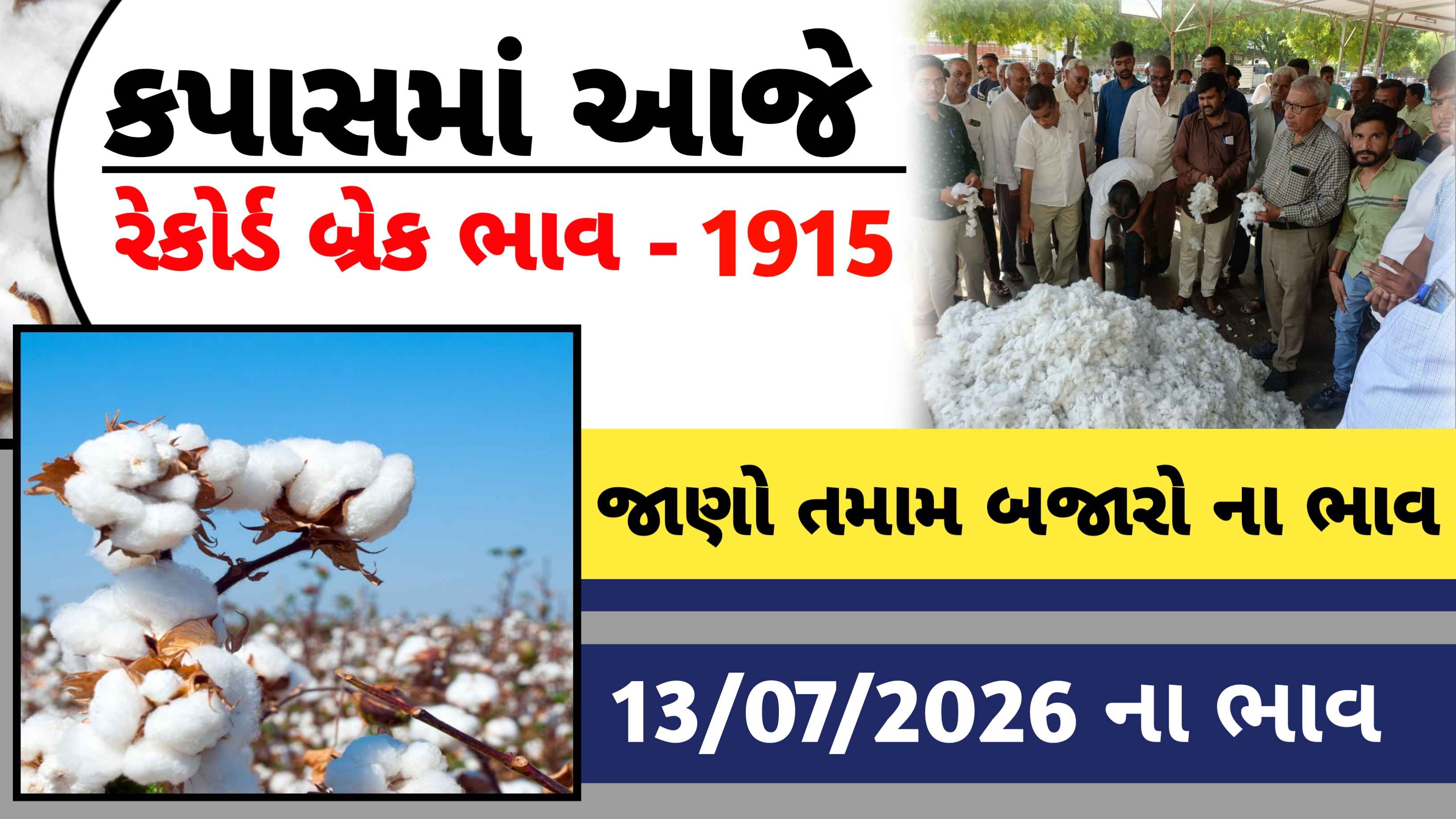 જાણો આજના કપાસના બજાર ભાવ (13 જુલાઈ 2026)