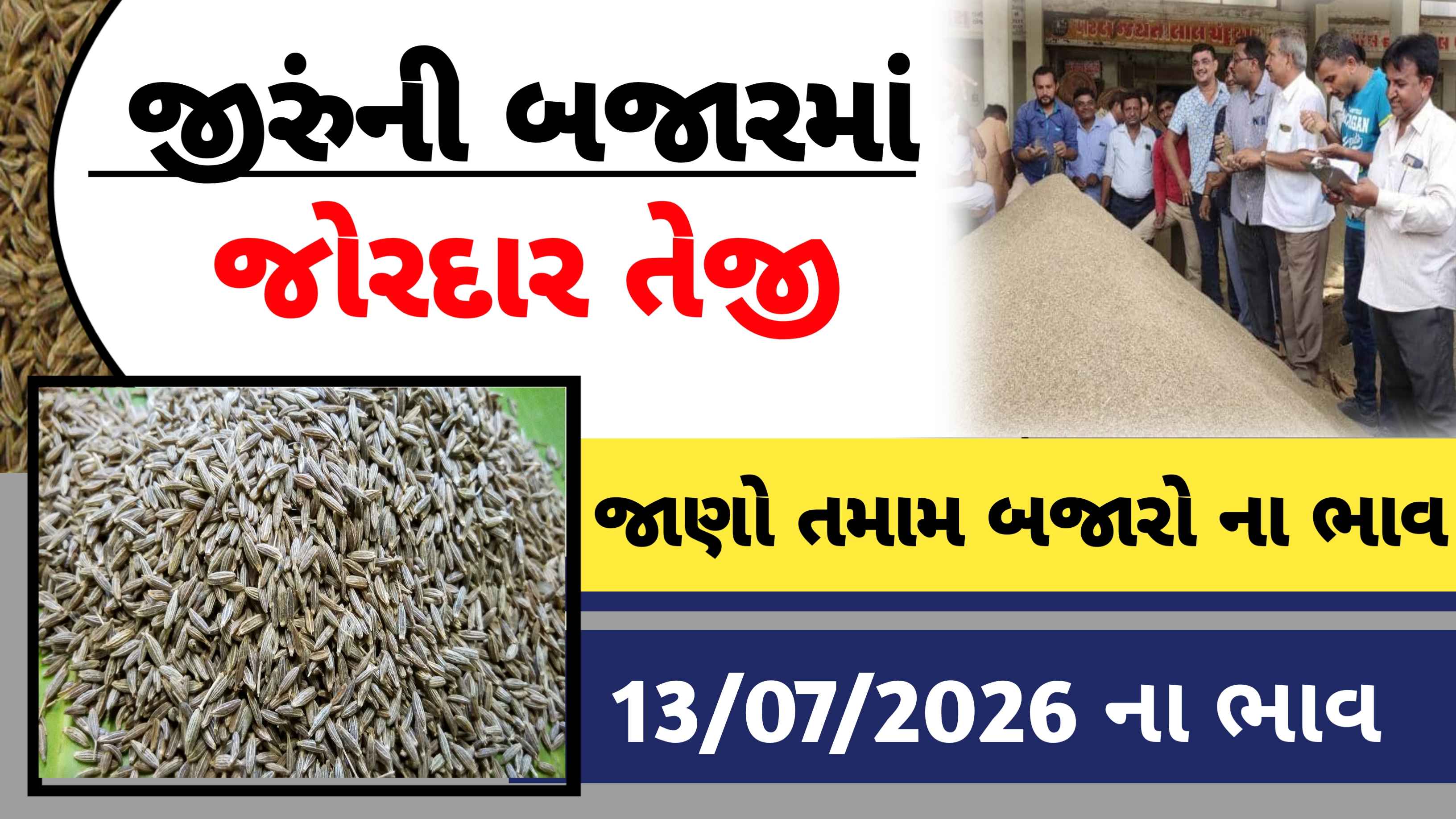 જીરુંના ભાવ વધ્યા? જુઓ આજની લેટેસ્ટ માર્કેટ અપડેટ