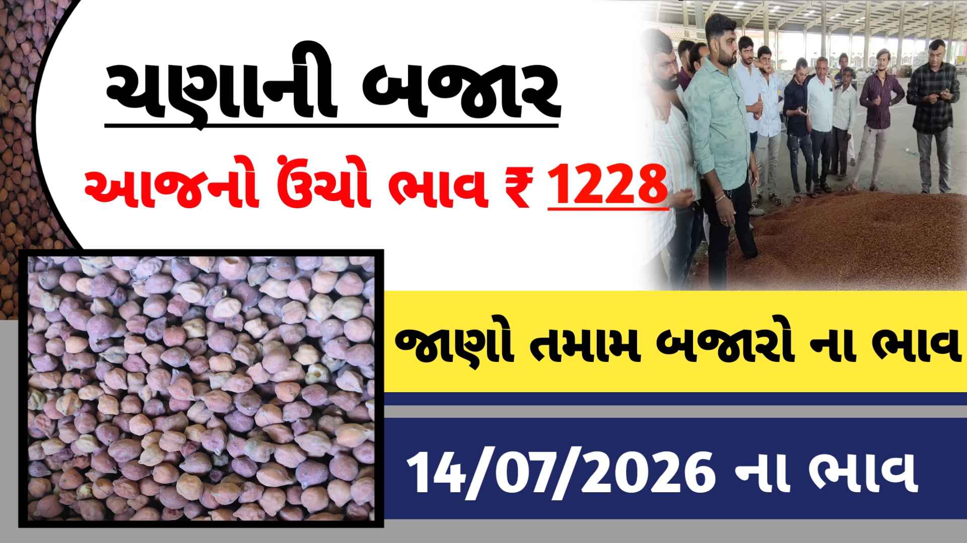 ચણાના  ભાવમાં ભારે તેજી, જાણો ગુજરાતનાં તમામ યાર્ડના બજાર ભાવ (14 જુલાઇ 2026)