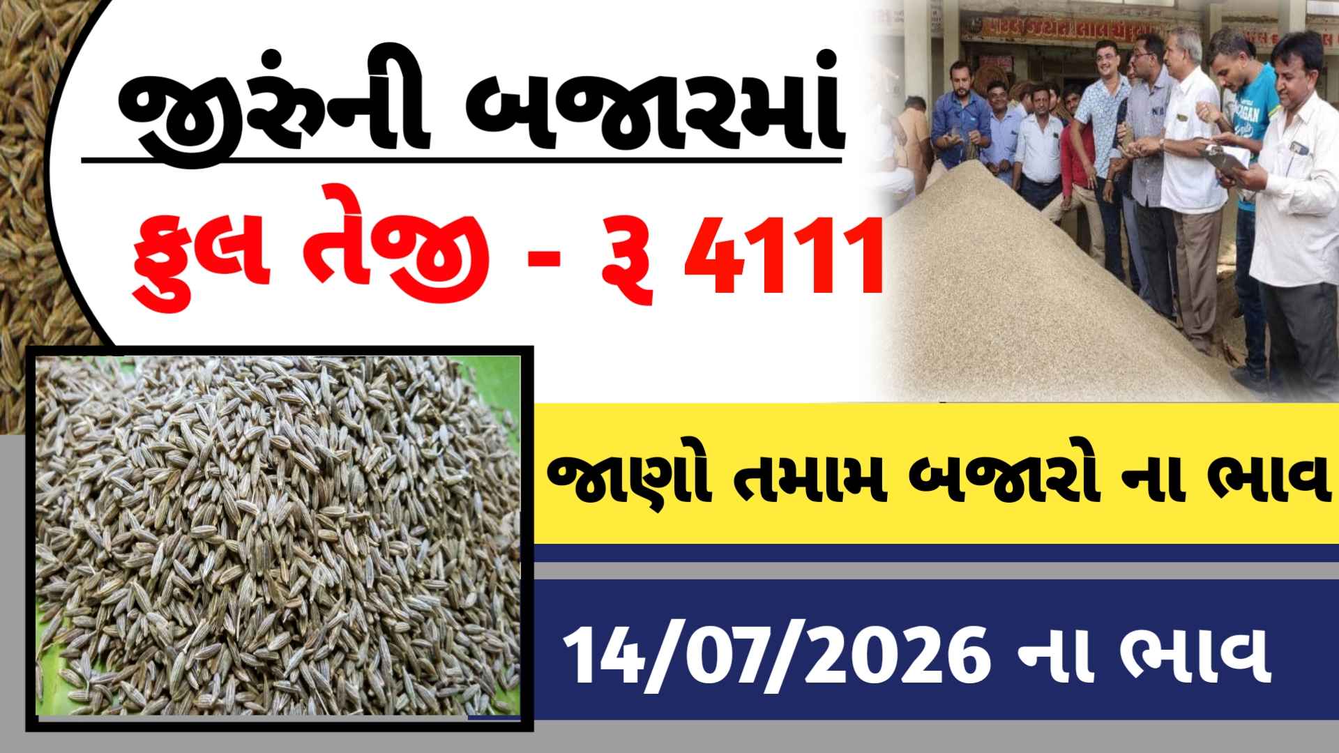 આજે જીરુંના ભાવમાં ભાવમાં ઉછાળો (14 જુલાઇ 2026)