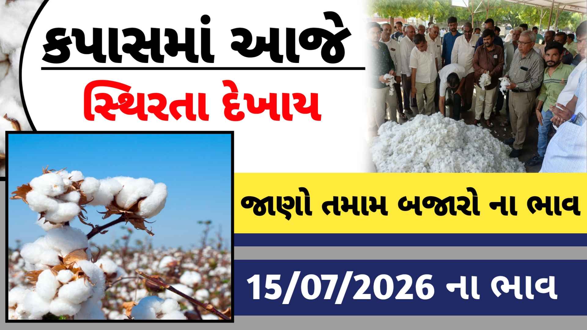 આજે કપાસના ભાવમાં મોટો ઉલટફેર (15 જુલાઇ 2026)