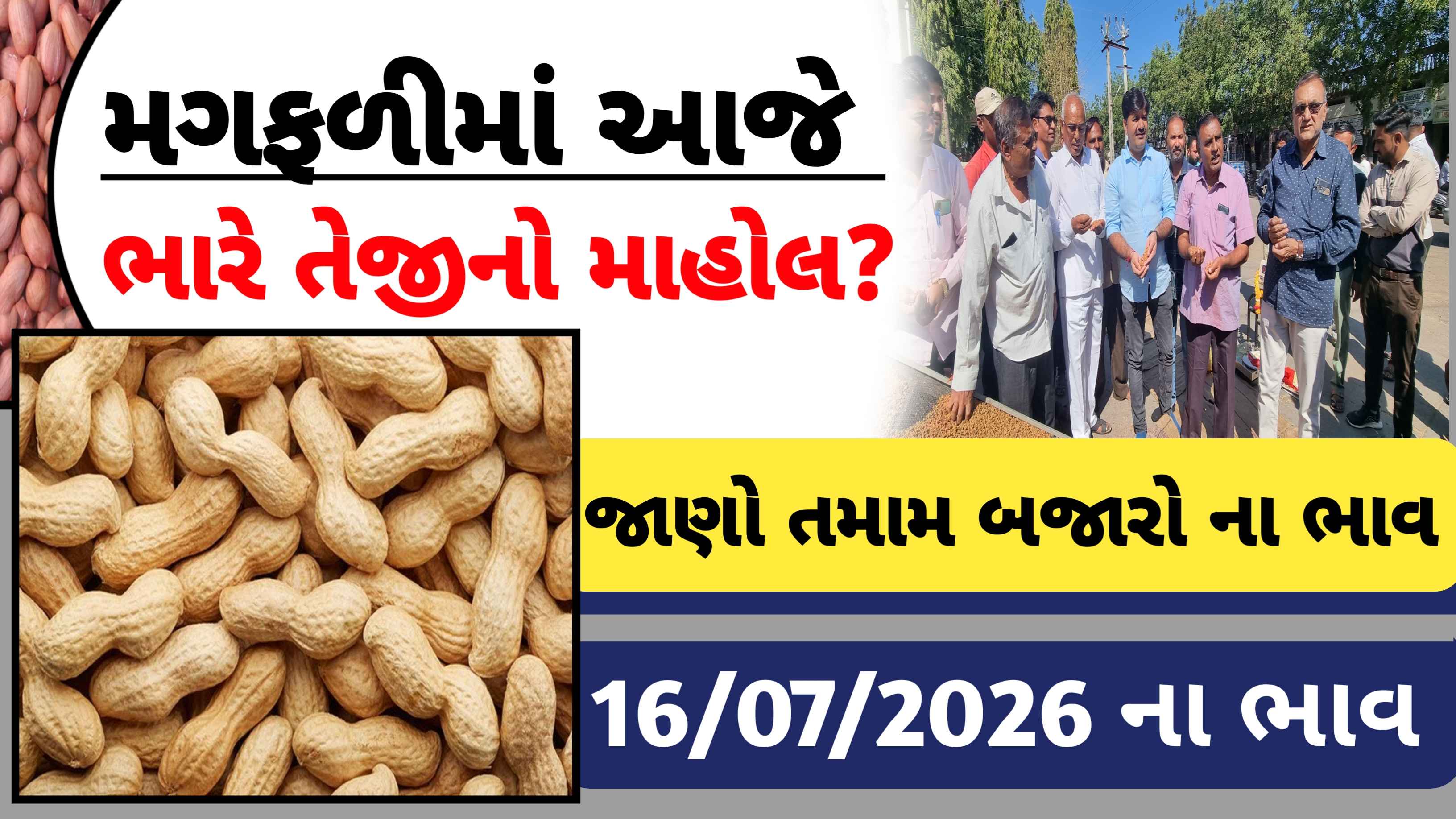 ગુજરાતના તમામ માર્કેટ યાર્ડના આજના મગફળીના બજાર ભાવ