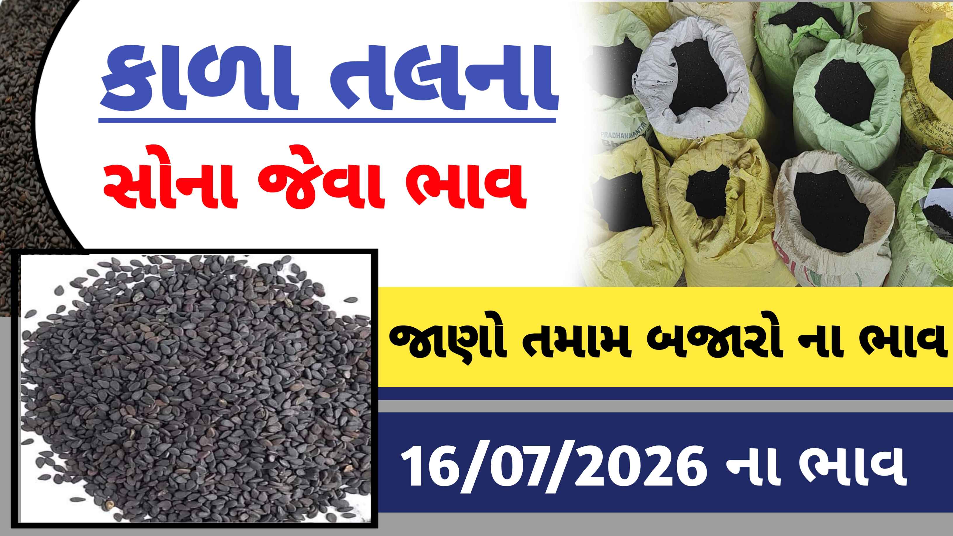 કાળા તલના સોના જેવા બજાર ભાવ, જાણો આજના બજાર ભાવ