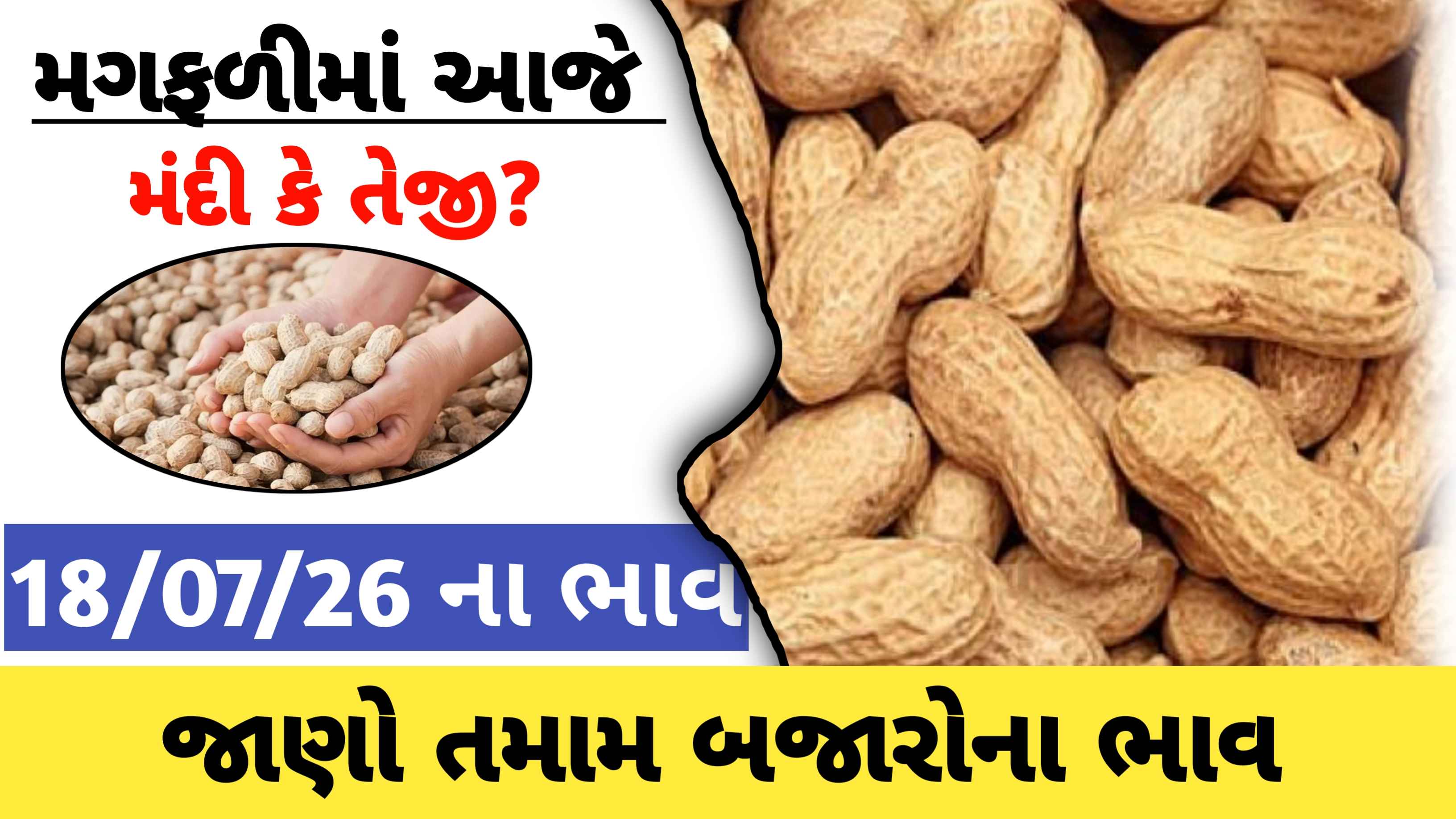 આજના મગફળીના બજાર  ભાવ, ગુજરાતના કયા માર્કેટ યાર્ડમાં મળ્યા સૌથી ઊંચા ભાવ?