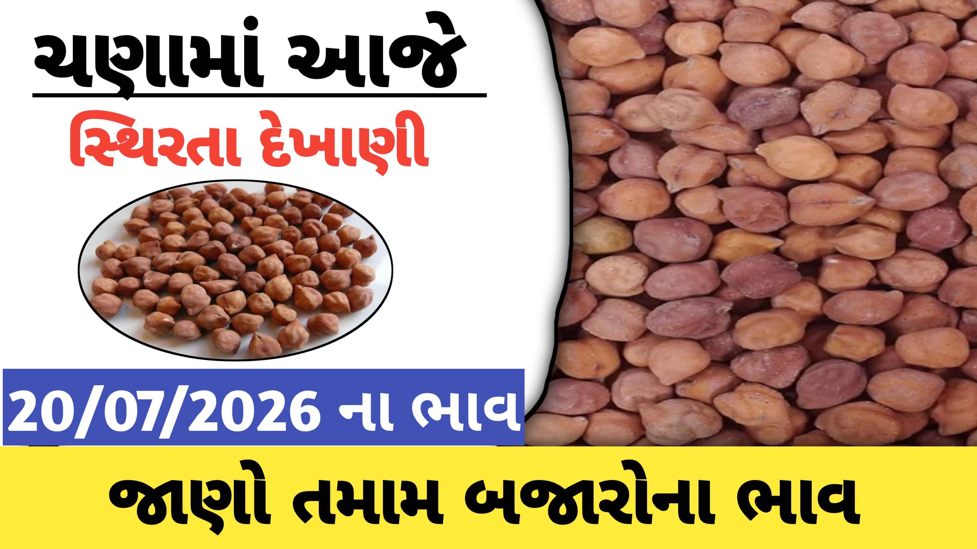 જાણો આજના ચણાના બજાર ભાવ, 800 થી ભાવ શરૂ