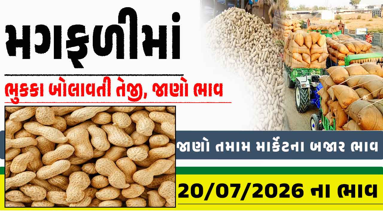 આજના મગફળીના  બજાર ભાવ, ગુજરાતના તમામ માર્કેટ યાર્ડ (20-07-2026)