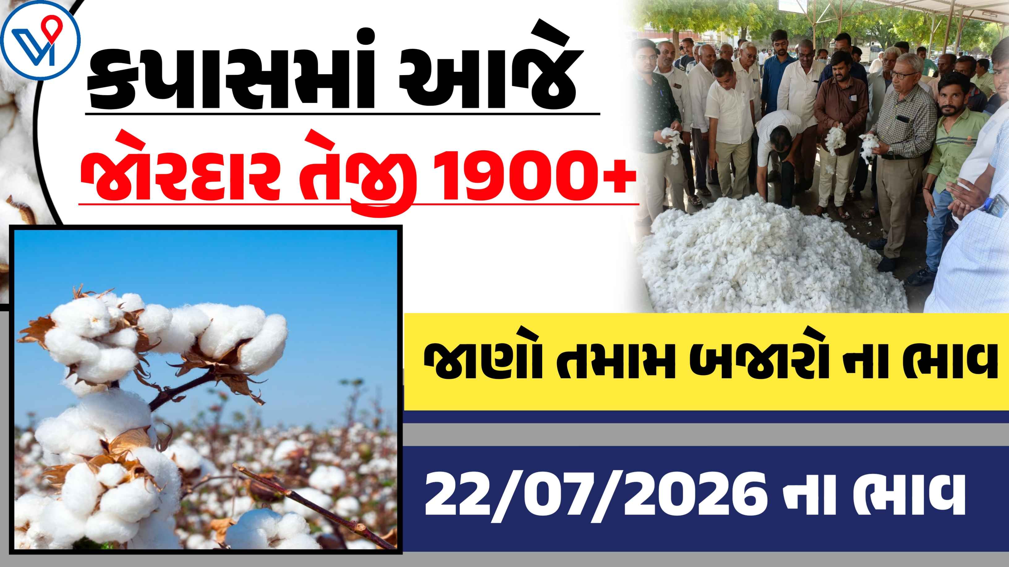 કપાસમાં આજે ભૂકકા બોલાવતી તેજી,જાણો આજના બજાર ભાવ