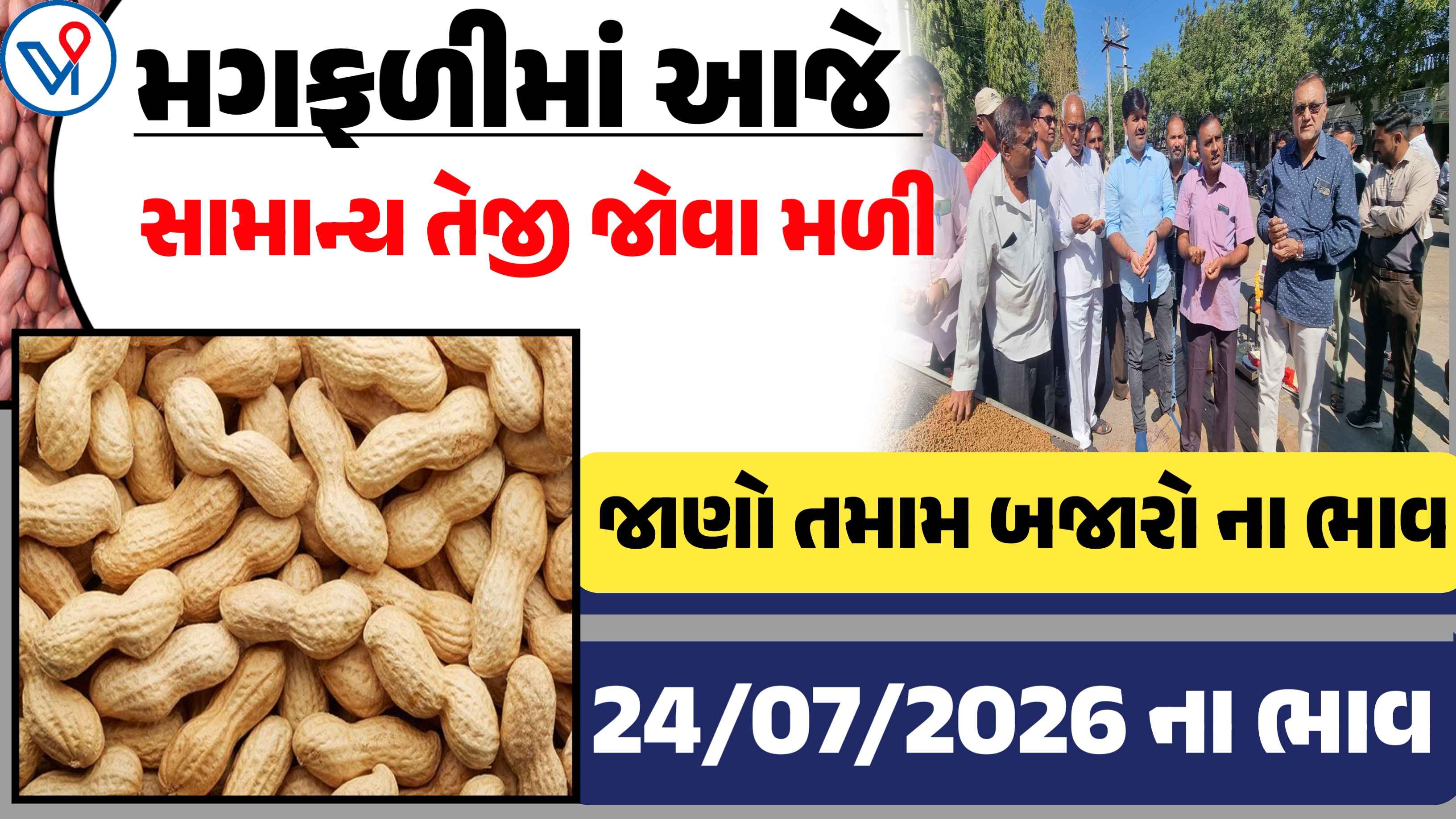 આજના મગફળીના બજાર ભાવ,  ગુજરાતના તમામ માર્કેટ યાર્ડના  (24-07-2026)
