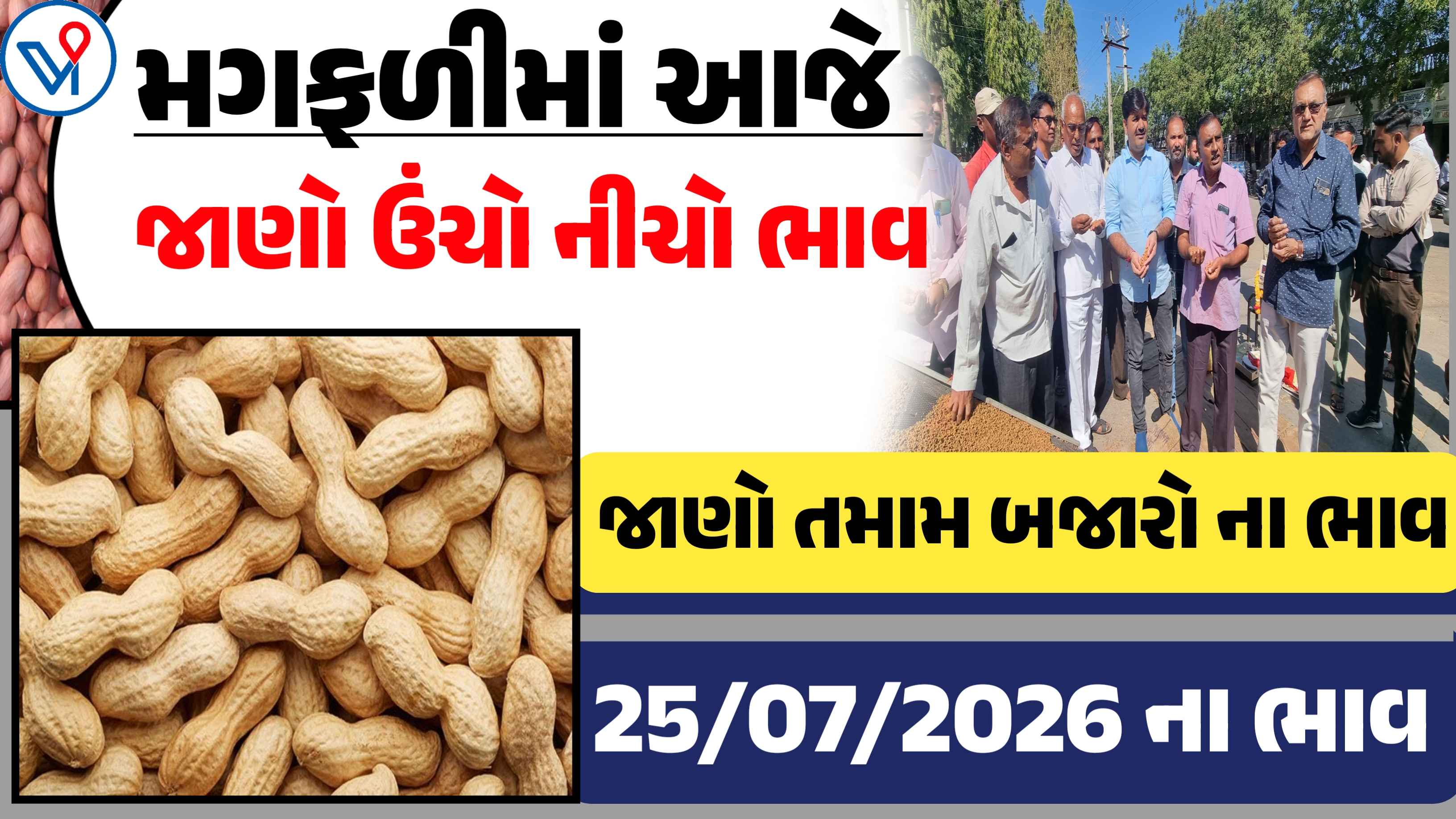 આજે મગફળીના ભાવમાં ઉછાળો? જુઓ 25 જુલાઈ 2026ના તમામ APMC ના ભાવ