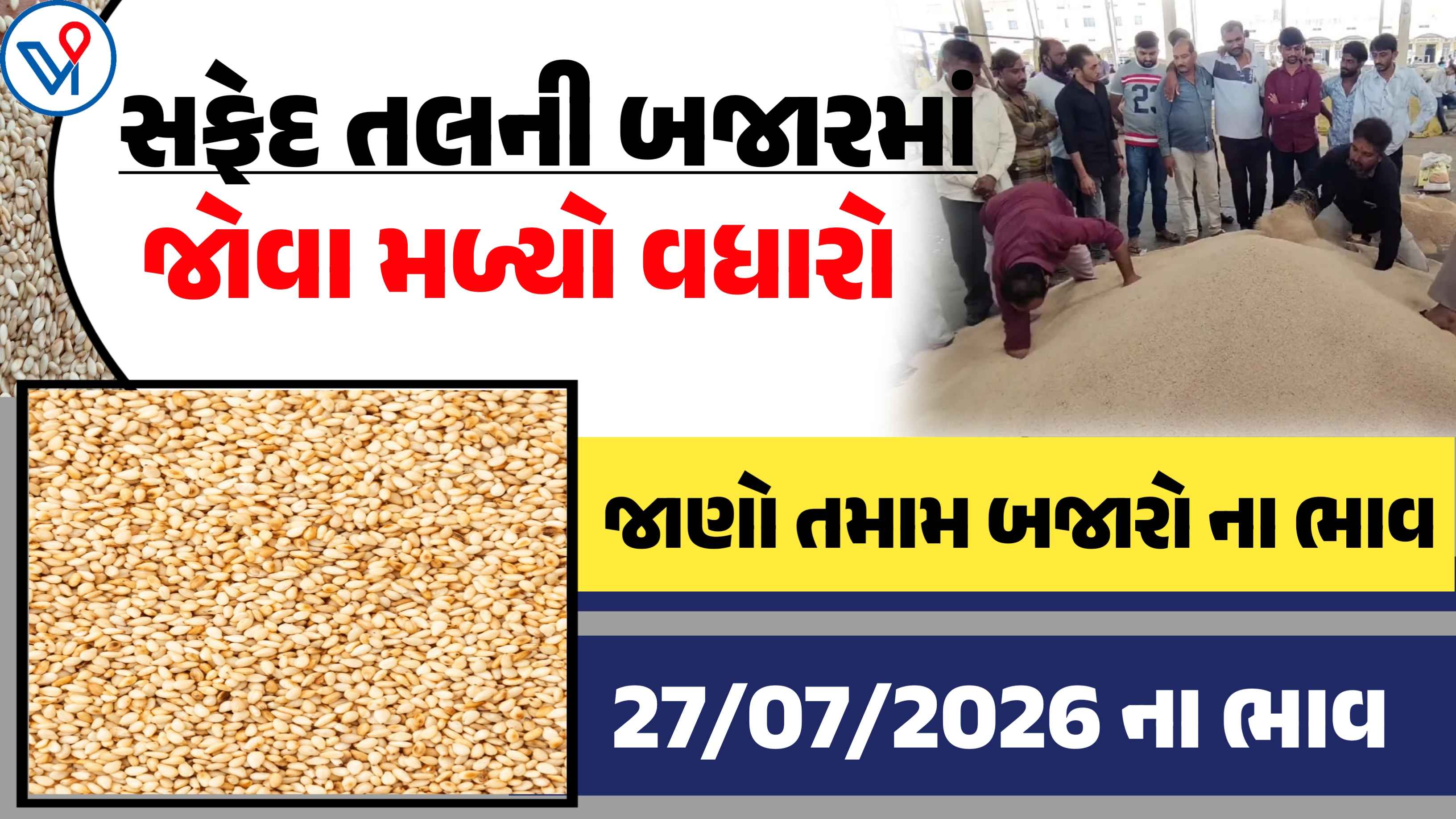 આજે સફેદ તલના ભાવમાં ઉછાળો: ખેડૂતો માટે કામની માહિતી