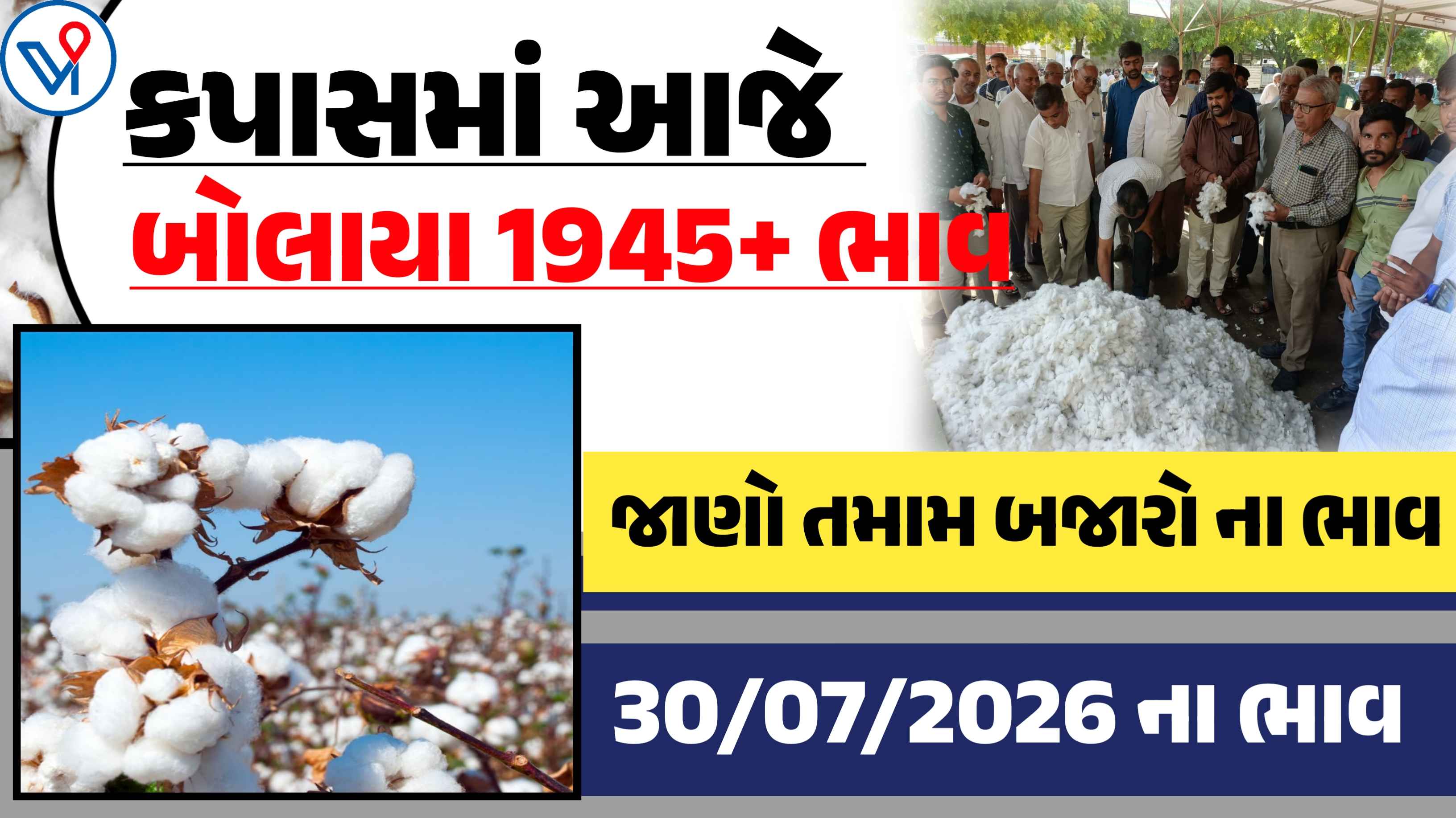 કપાસની બજારમાં મોટો ઉછાળો, જાણો આજના તમામ APMCના બજાર ભાવ