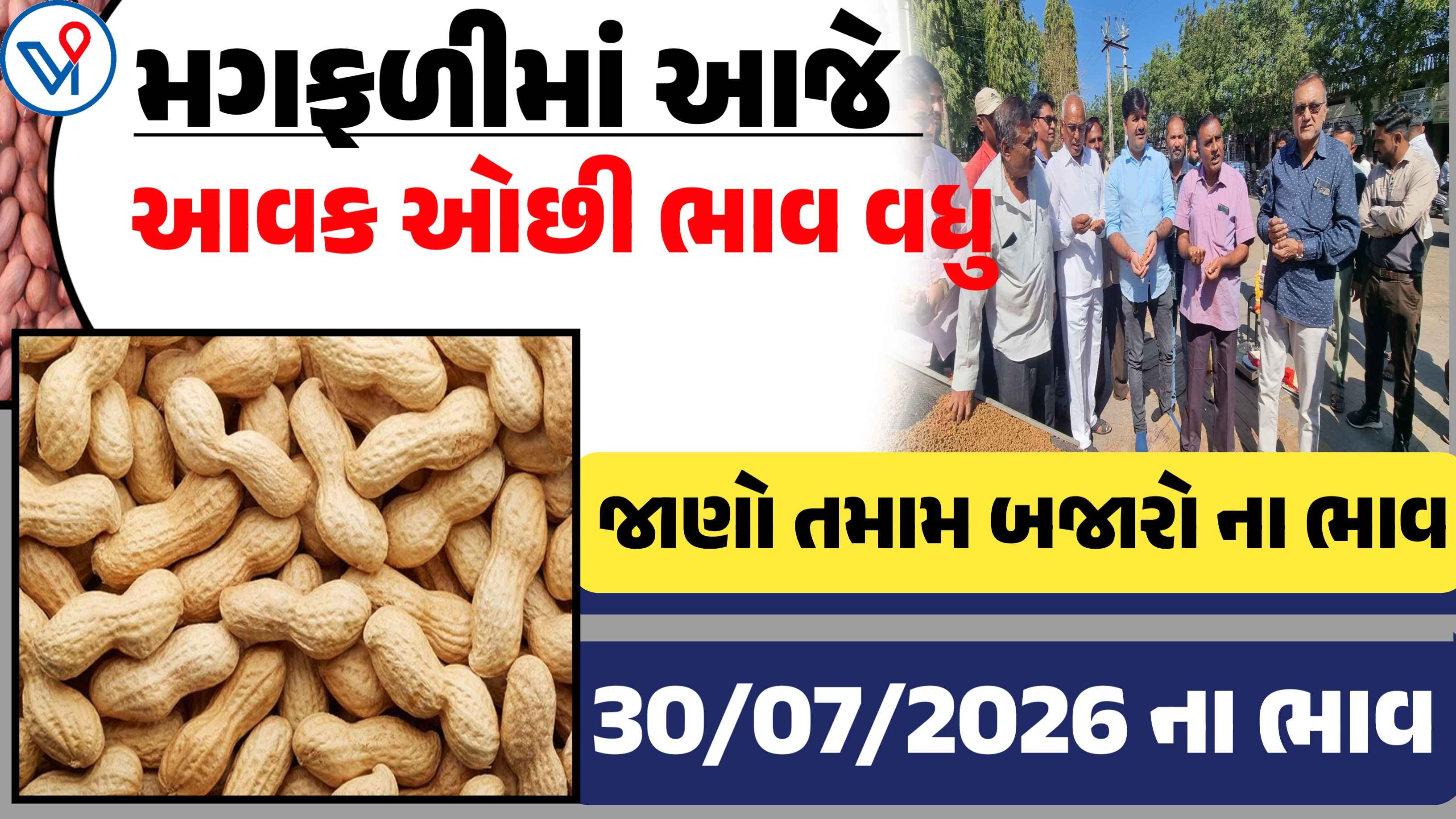 આજના મગફળીના  બજાર ભાવ: જાણો ગુજરાતના તમામ માર્કેટ યાર્ડના  (30-07-2026)