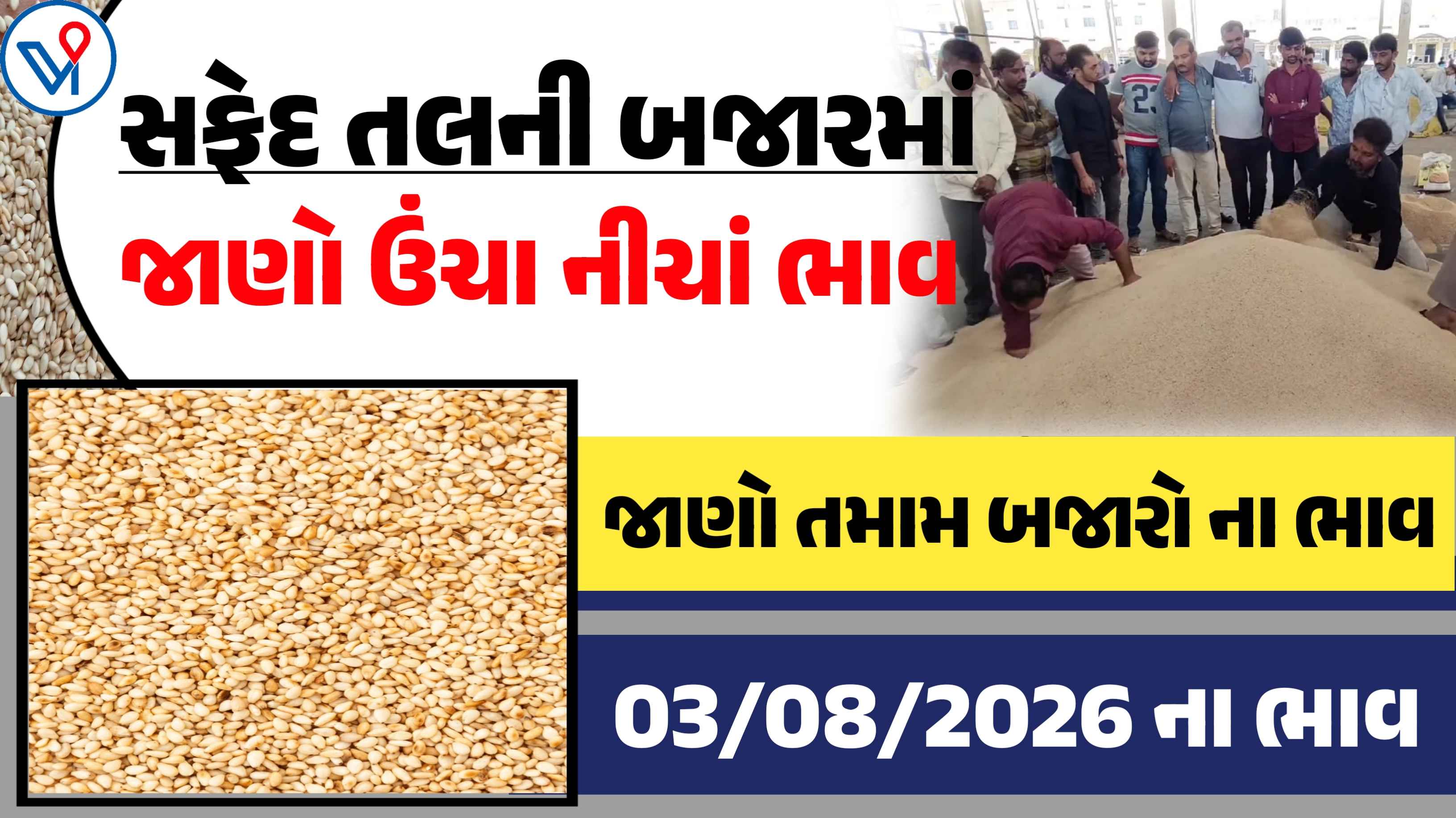 સફેદ તલના બજાર ભાવ: જુનાગઢ, તળાજા, ગુજરાત| આજના APMC ભાવ
