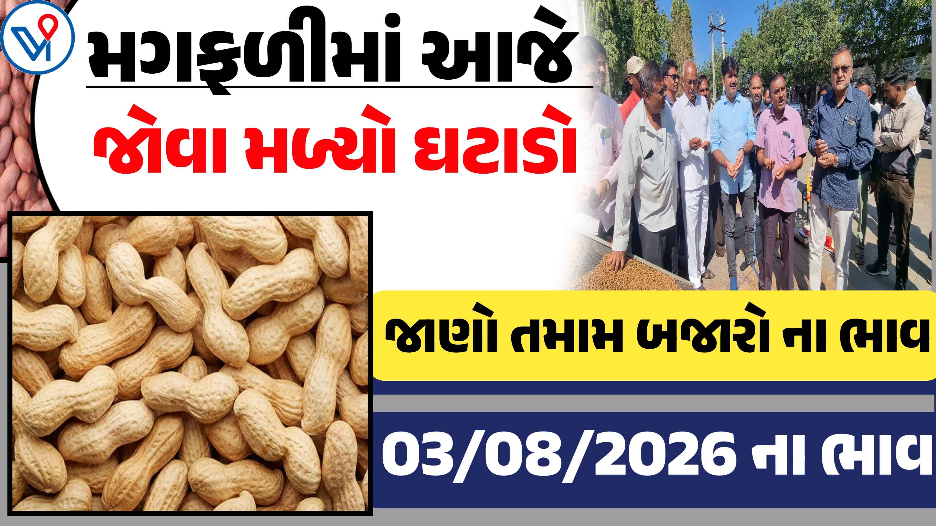 મગફળીના બજાર ભાવ: ગોંડલ, રાજકોટ, ગુજરાત| આજના APMC ભાવ