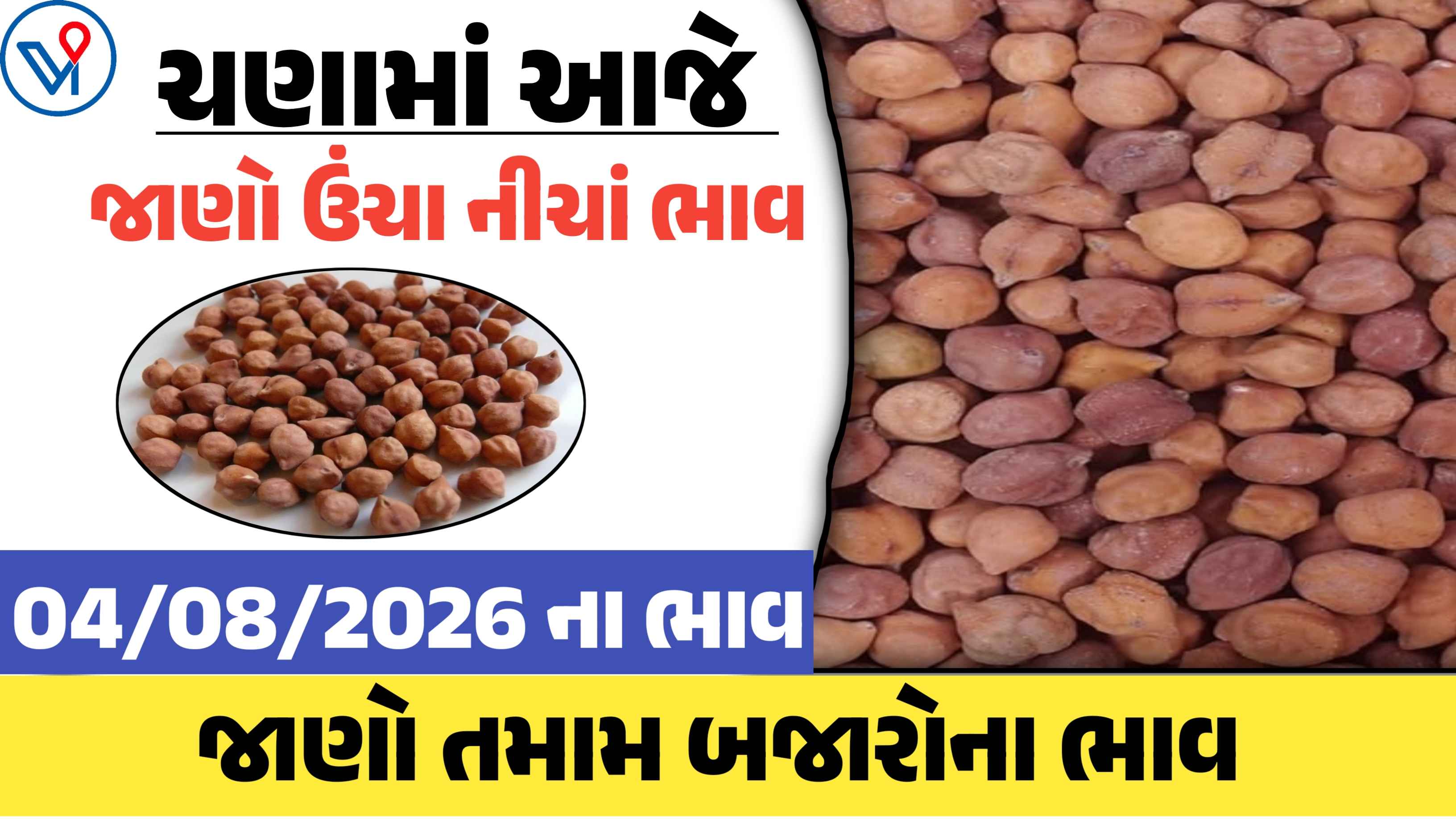 ચણાના બજાર ભાવ: ગોંડલ, રાજકોટ, ગુજરાત| આજે ચણાનો ઉંચો ભાવ 1261 રૂપિયા બોલાયો