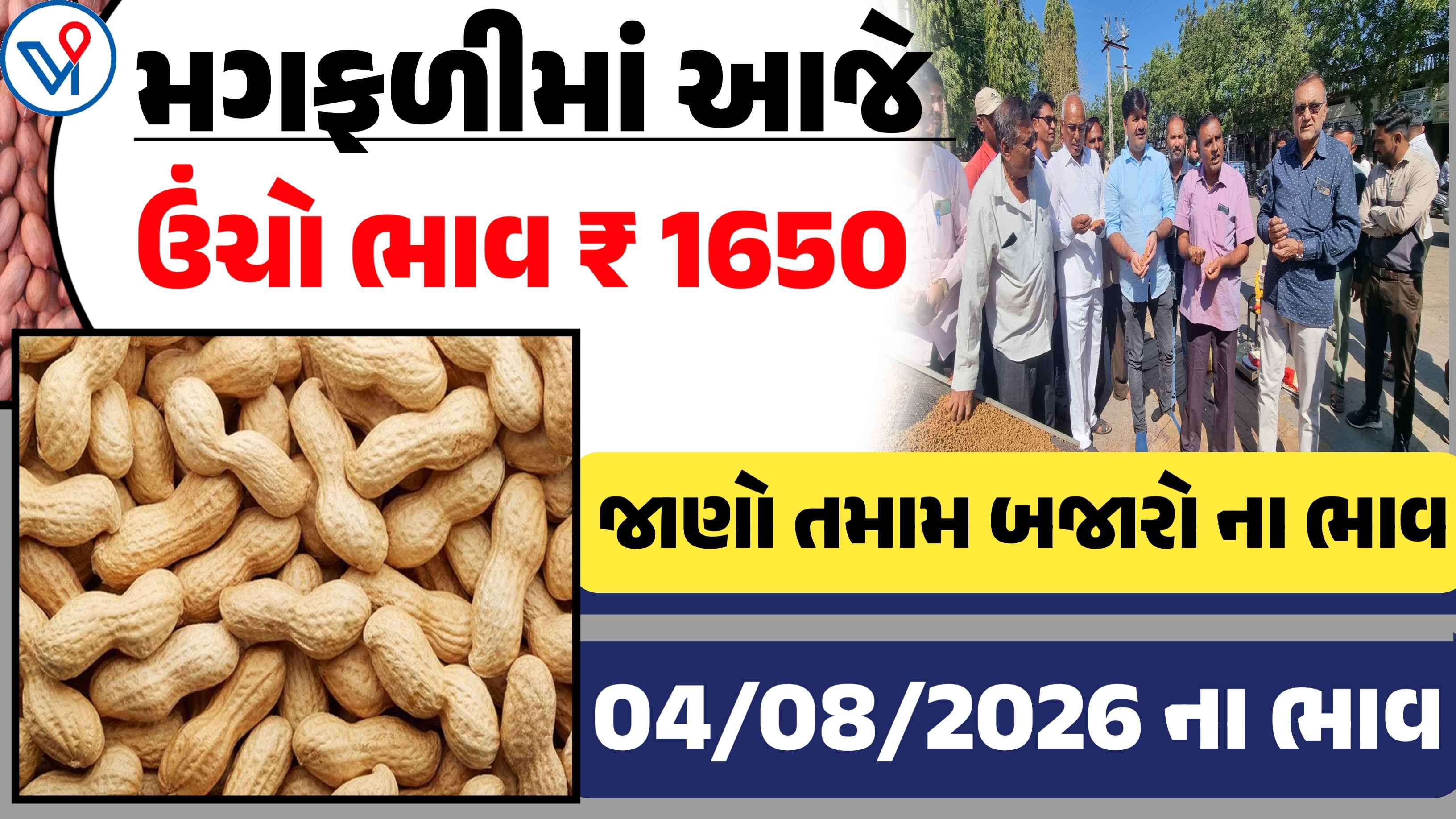 જાણો આજના મગફળીના બજાર ભાવ: ગોંડલ, રાજકોટ, ગુજરાત| APMC બજાર ભાવ