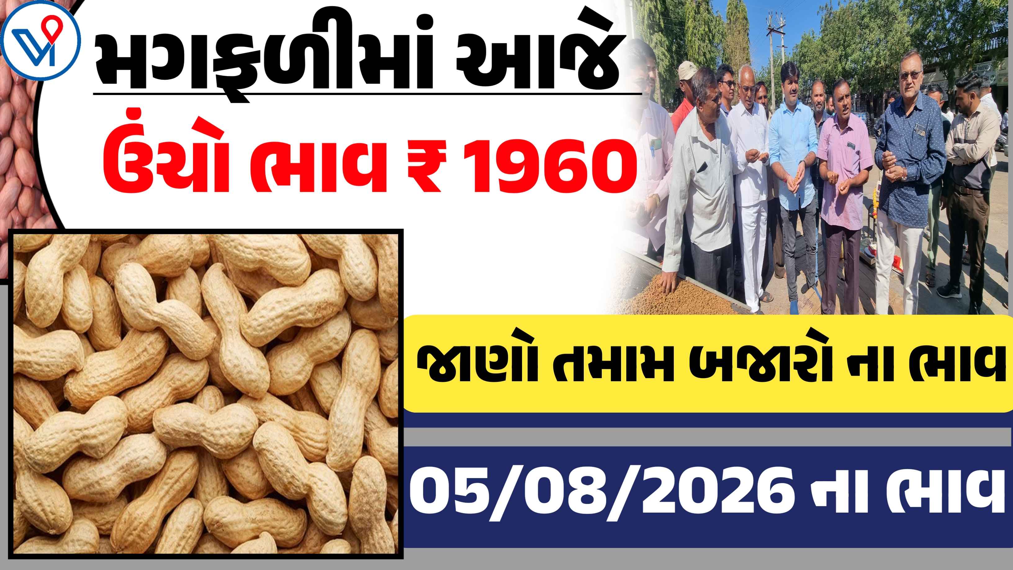 મગફળીના બજાર ભાવ: ગોંડલ, રાજકોટ, ગુજરાત|આજે ઉંચો ભાવ 1960 રૂપિયા બોલાયો