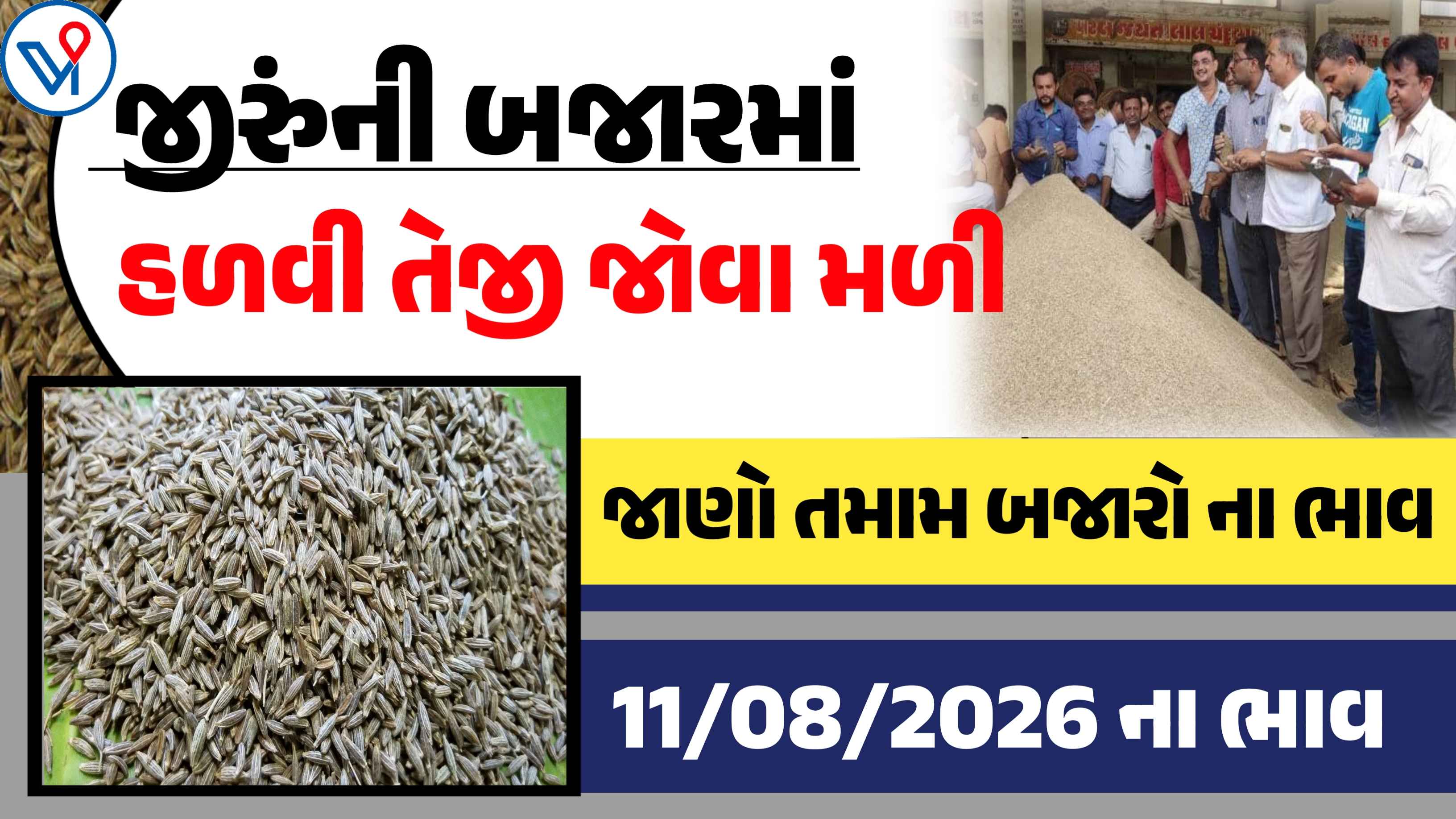 જીરુંના બજાર ભાવ: ગોંડલ, રાજકોટ, જુનાગઢ| ગુજરાતનાં તમામ માર્કેટ યાર્ડના બાજર ભાવ